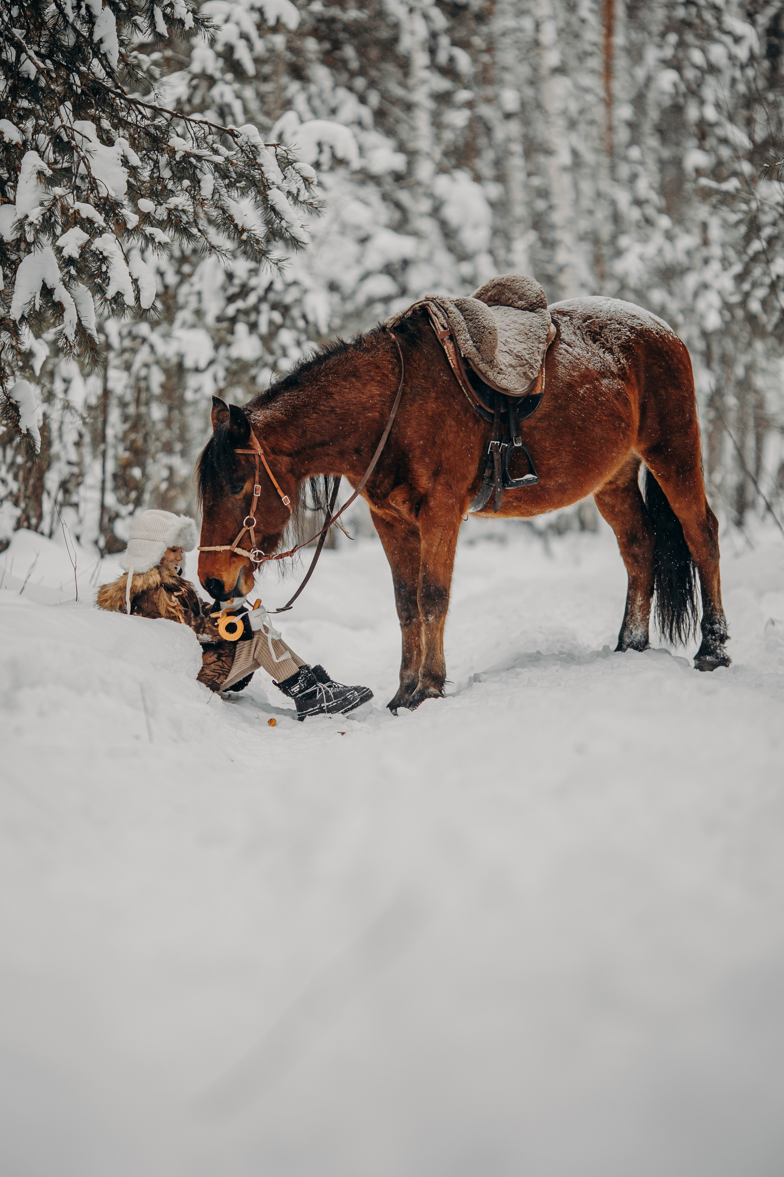 Тоша и баранки. Анна Молчанова конный фотограф в Тюмени | фотосессии с лошадьми Тюмень