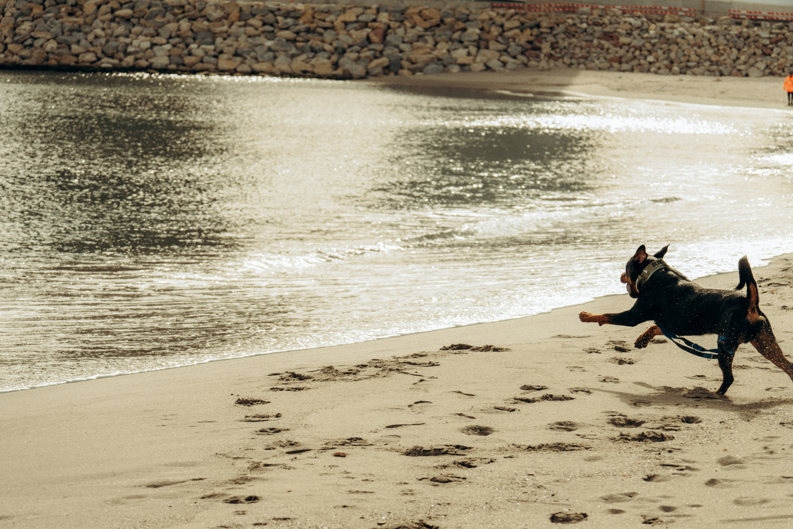 Beach. IANA VOLITSKAYA. LifeStyle Photographer in Gibraltar
