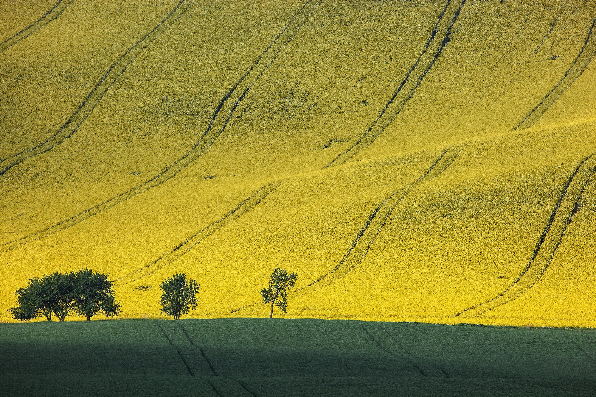 Пейзажи. Предметный фотограф в Москве Вячеслав Тимошенко