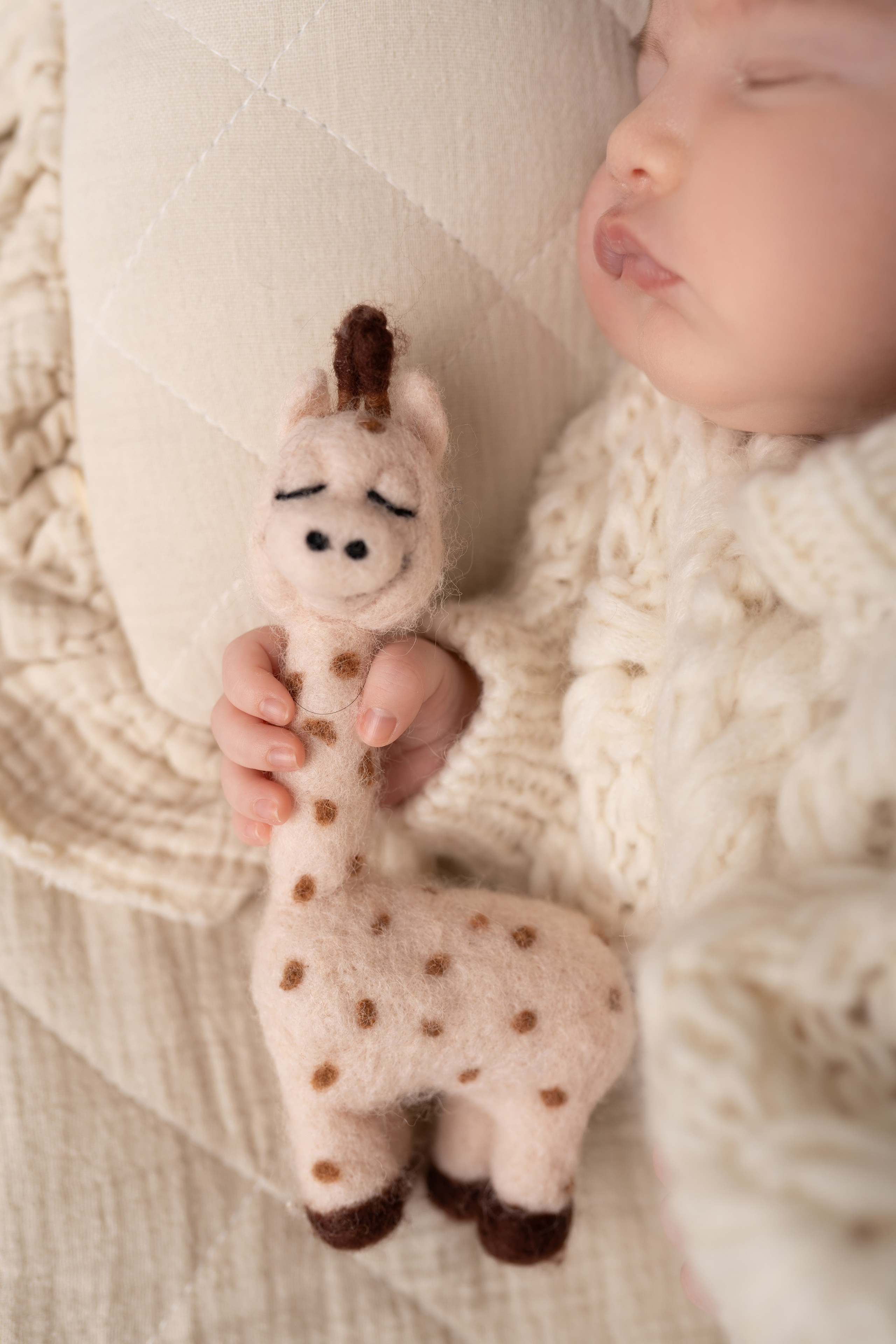 Новорождённые. Фотограф новорожденных малышей Одинцово/Москва Юлия Скок