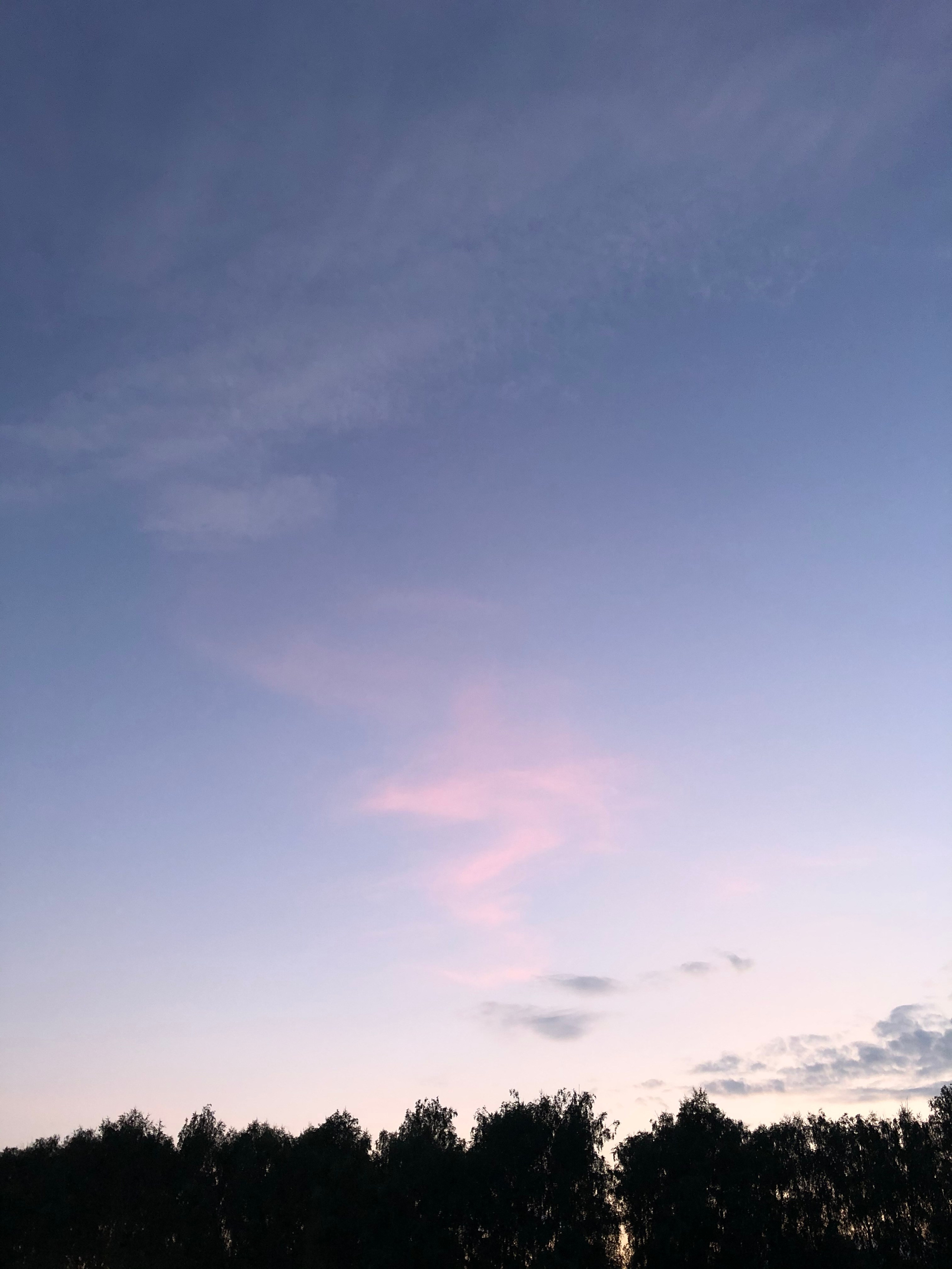 Визуальный дневник. Портретный фотограф в Москве Гахраманова Екатерина