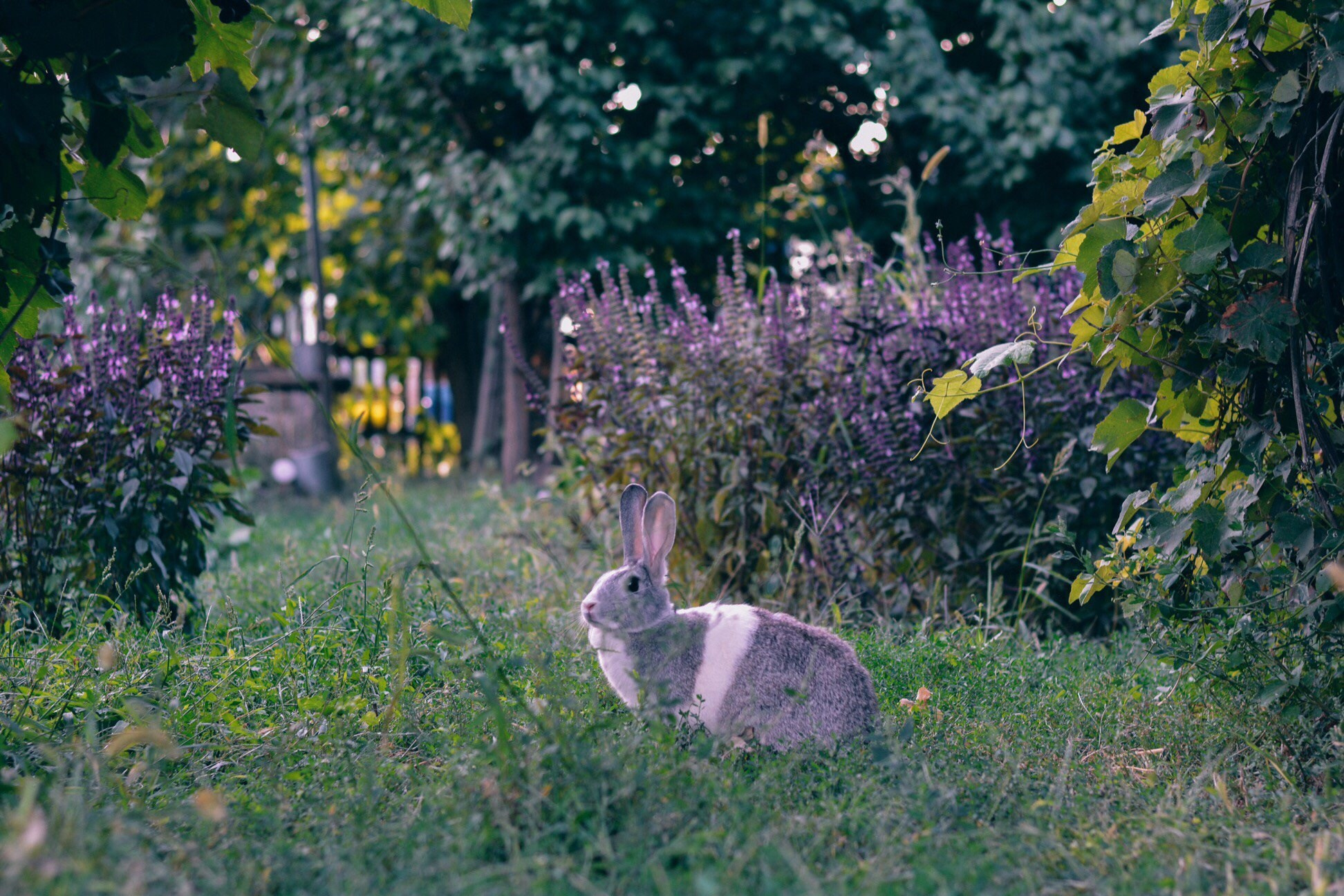 Визуальный дневник. Портретный фотограф в Москве Гахраманова Екатерина