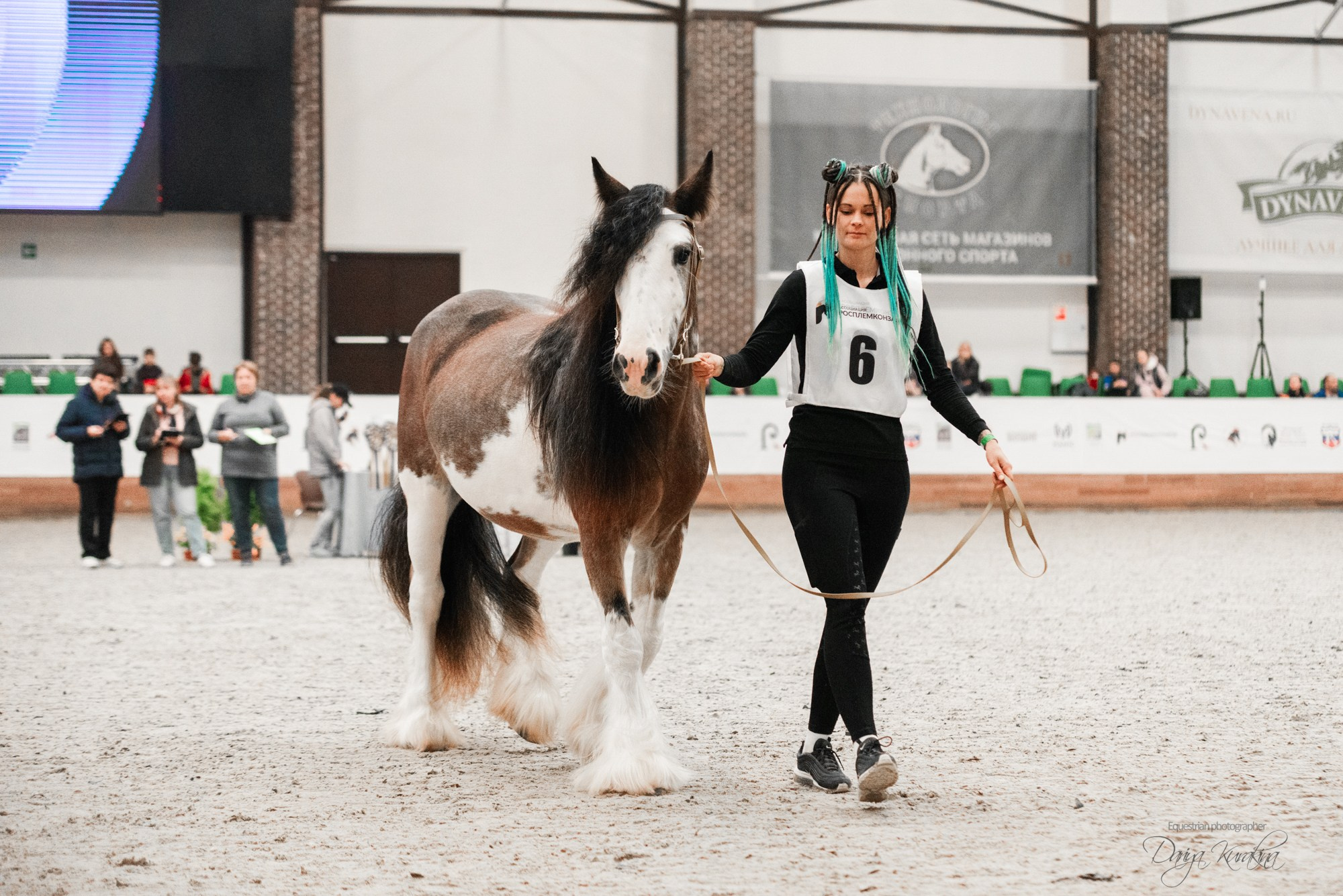 8-я международная выставка Конная Россия. Конный фотограф Куракина Дарья • Фотосессии с лошадьми