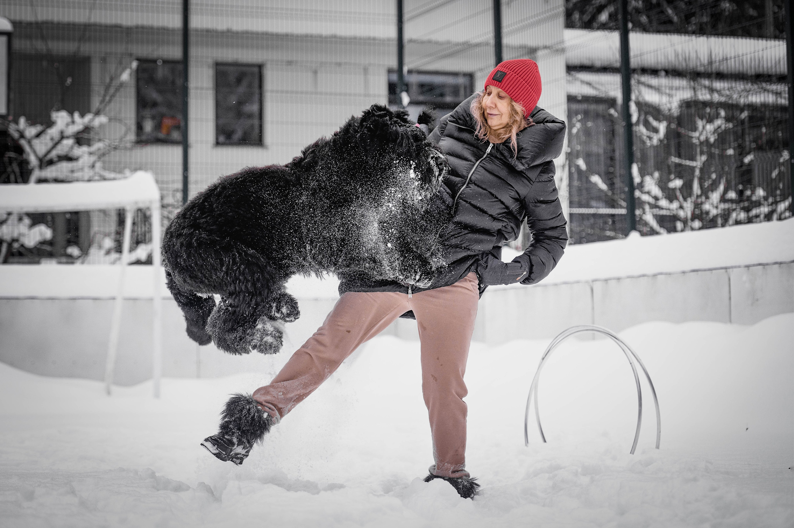Клео. Фотограф-анималист