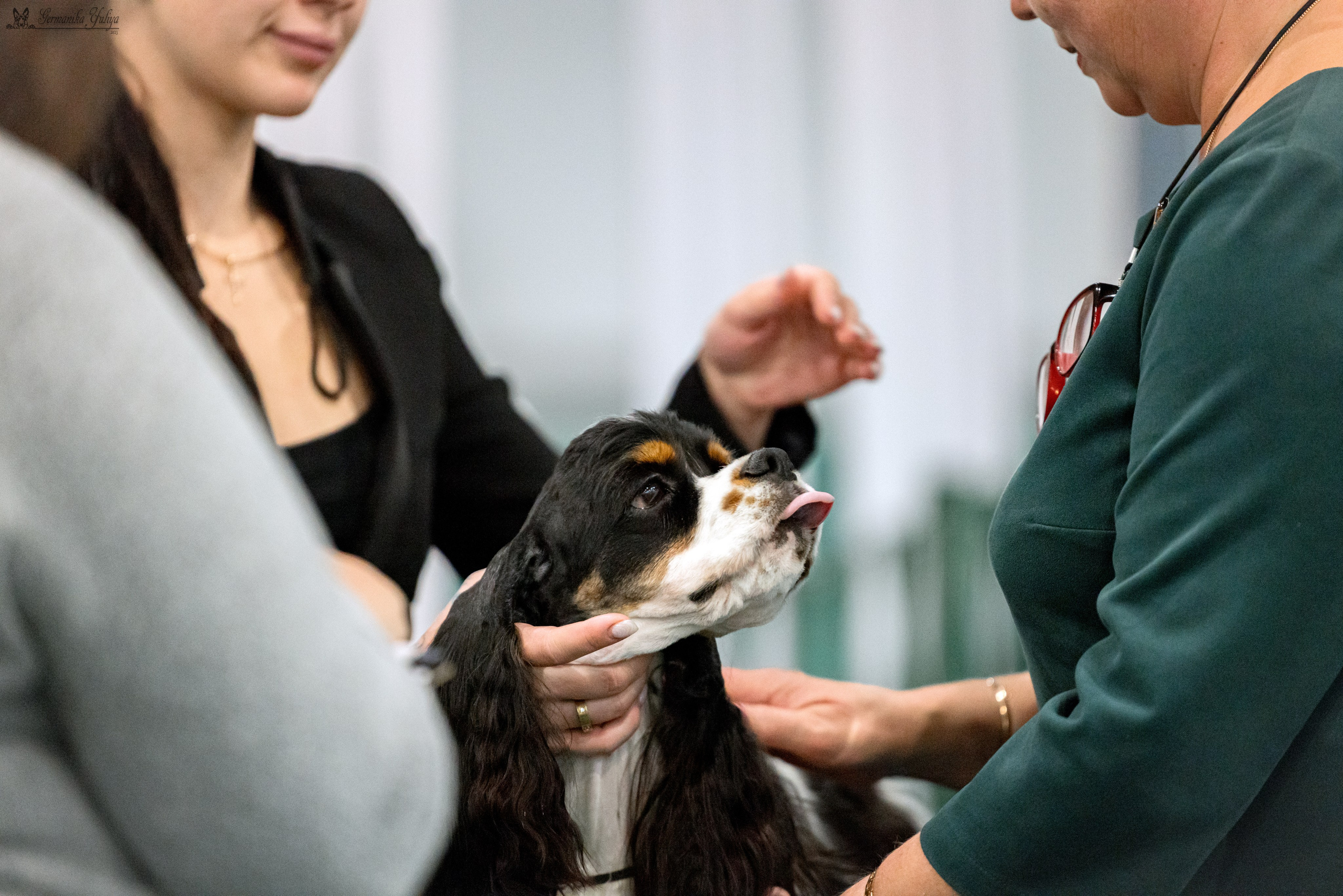 Сфера 29.10,Крокус 4.11,Сфера 12.11.2023. Фотограф-анималист Юлия Германика