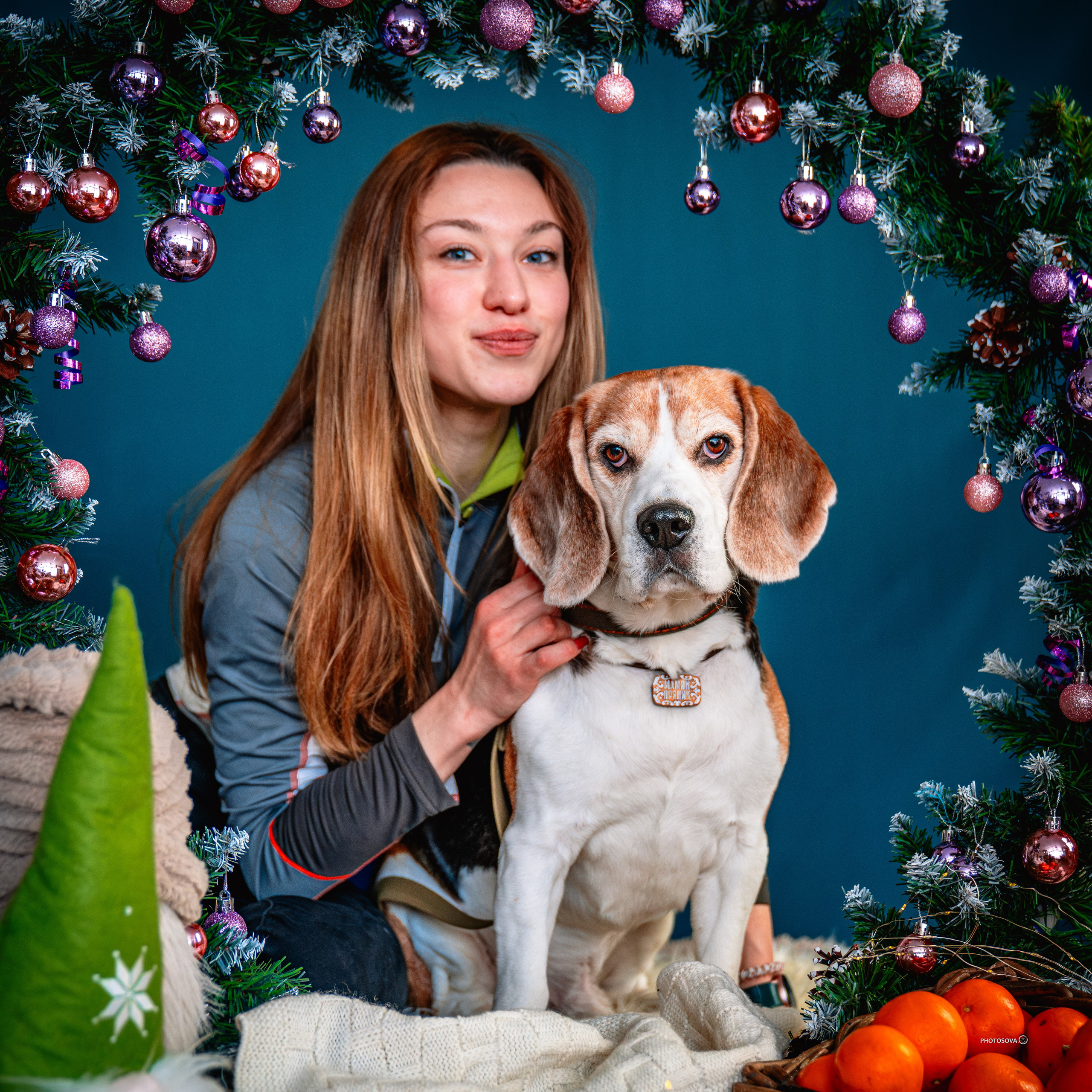 ФОТОПАМЯТЬ ВАШИХ ЭМОЦИЙ. Фотограф-анималист, семейный фотограф в Москве и Подмосковье. Фотосъёмка кинологических дисциплин