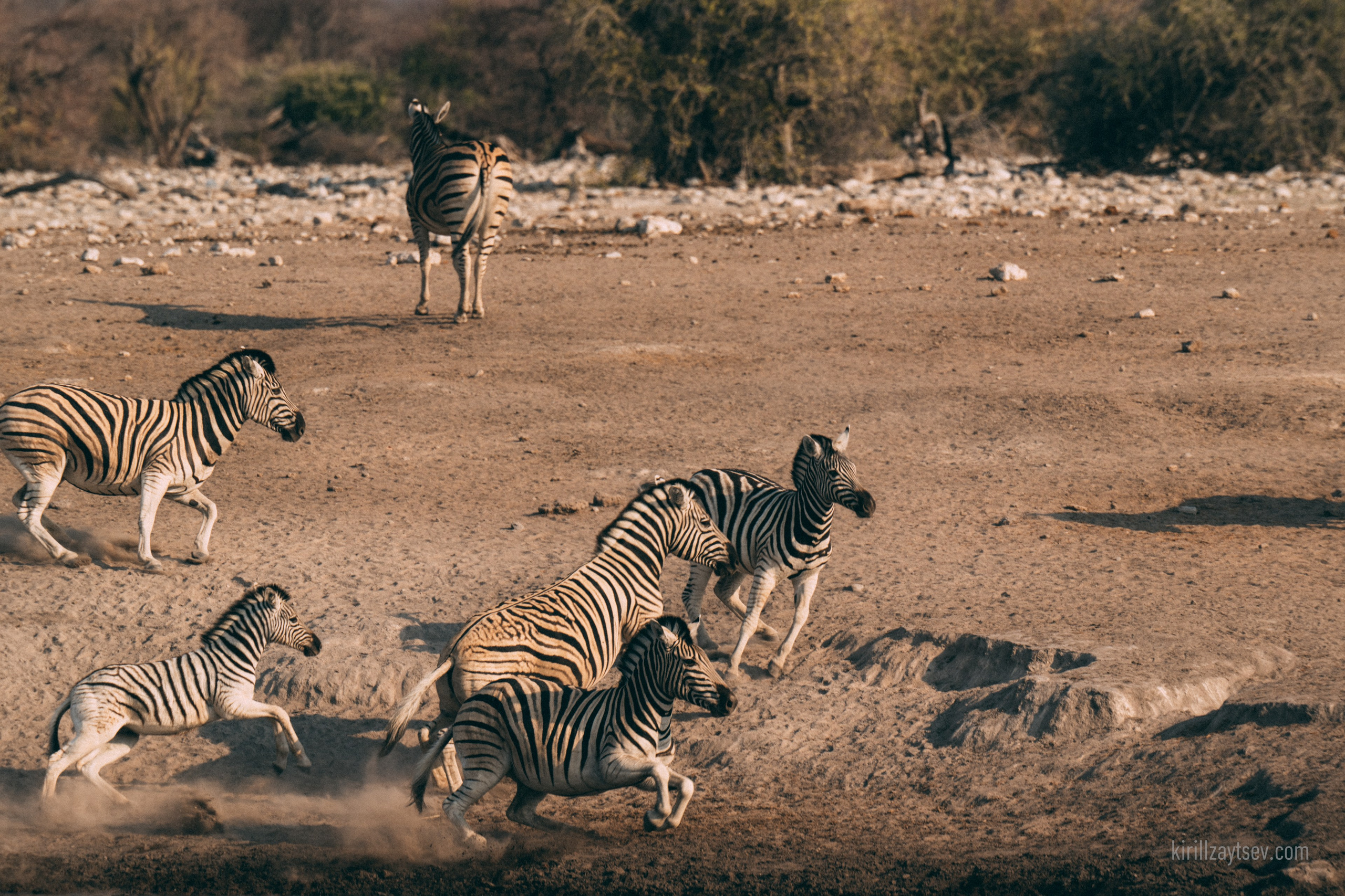 Жизнь. Профессиональный фотограф Кирилл Зайцев