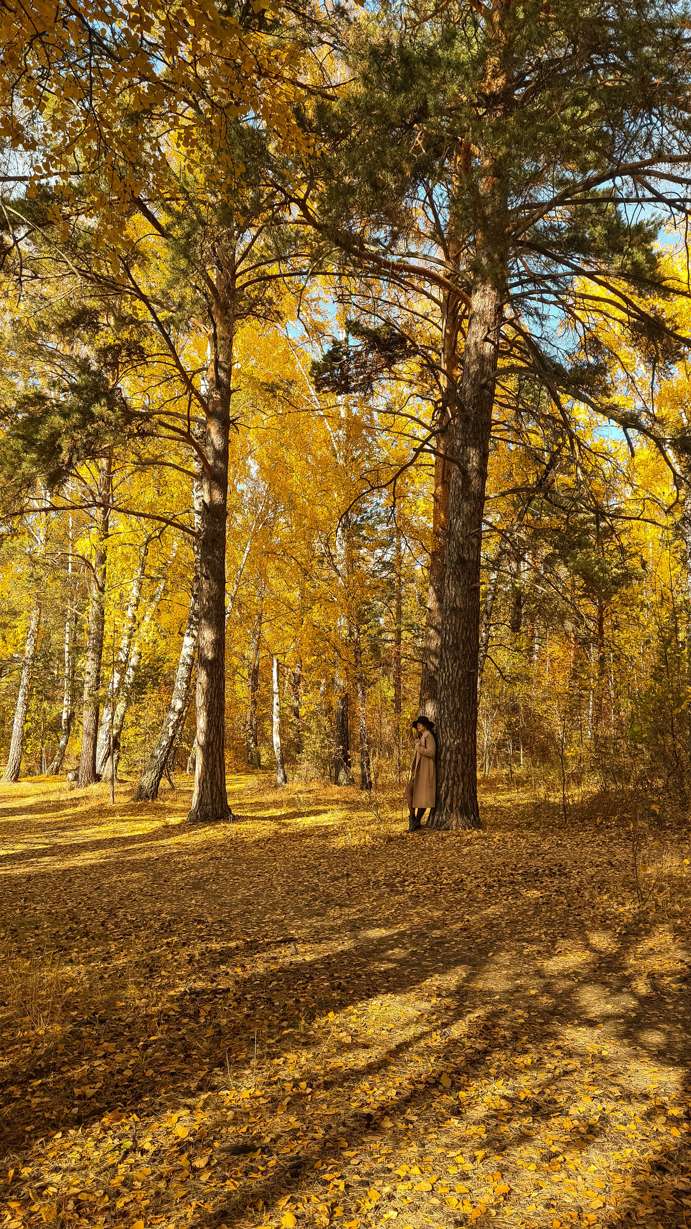 Осень. Портретный фотограф в Челябинске