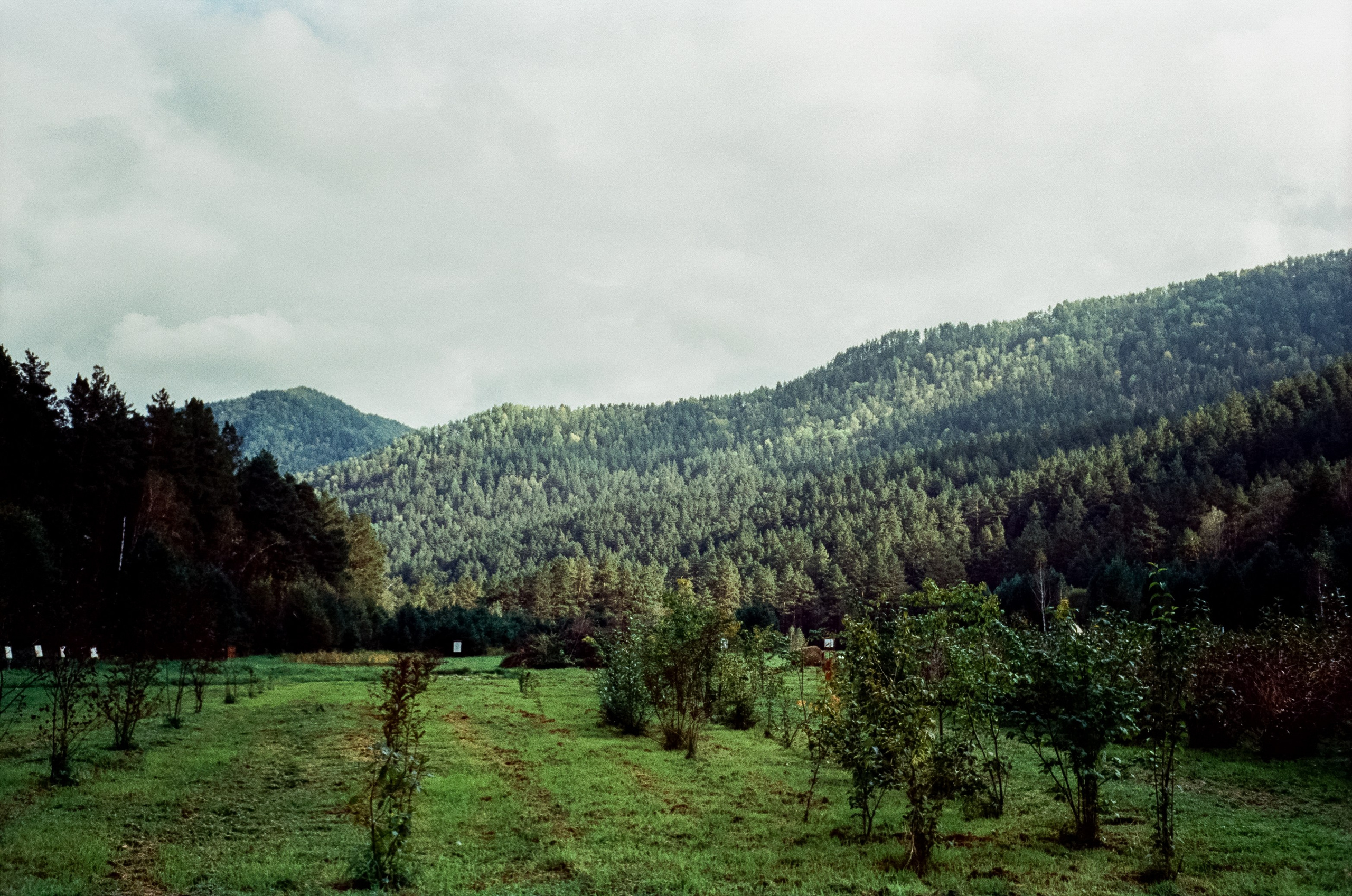 Горно-Алтайский ботанический сад / 13 сентября 2024 года / Minox 35 GT / SFL 250D