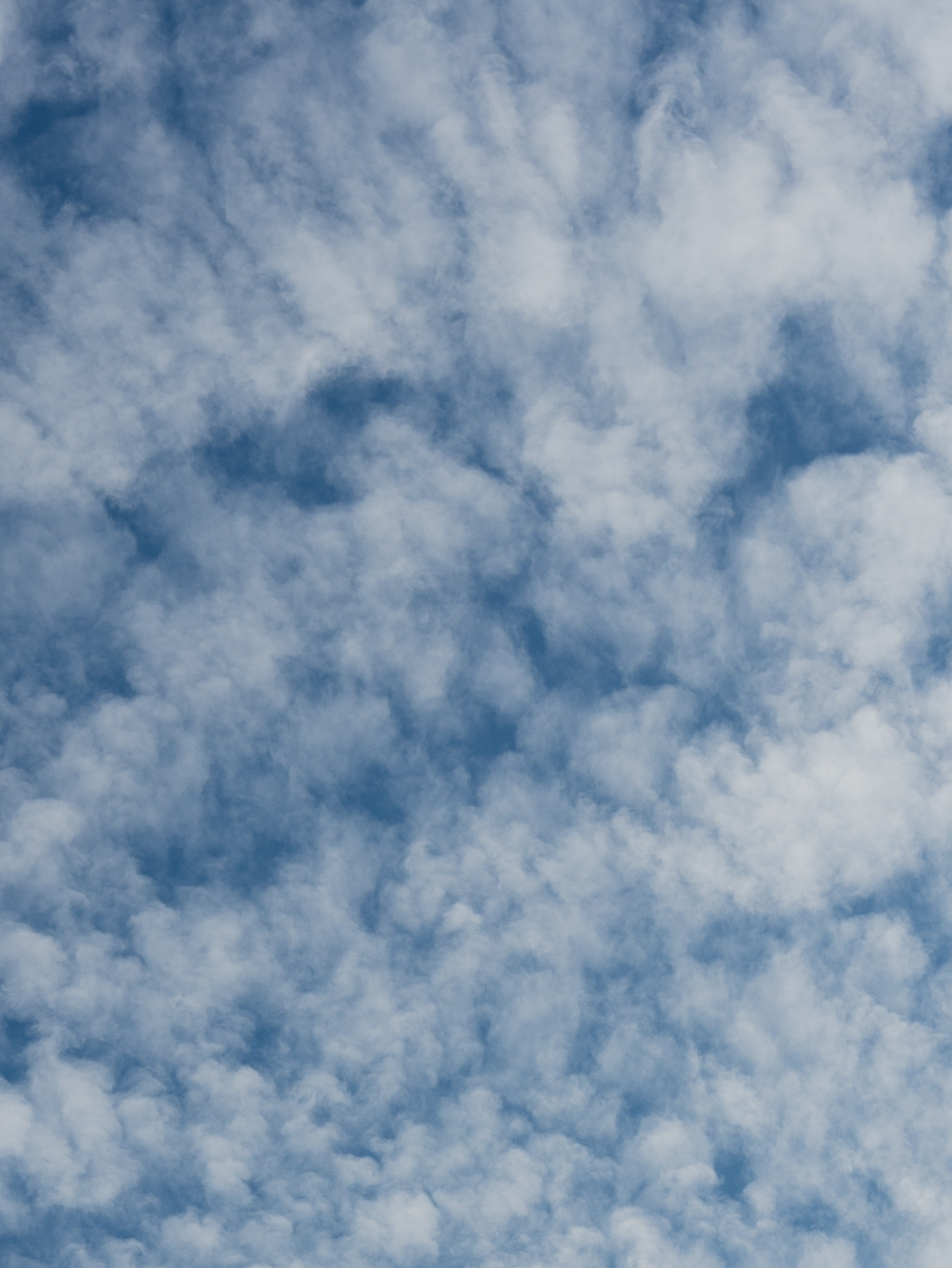 Настя, Сёма, Ярик. ФОТОГРАФ Любовь Скок. Москва