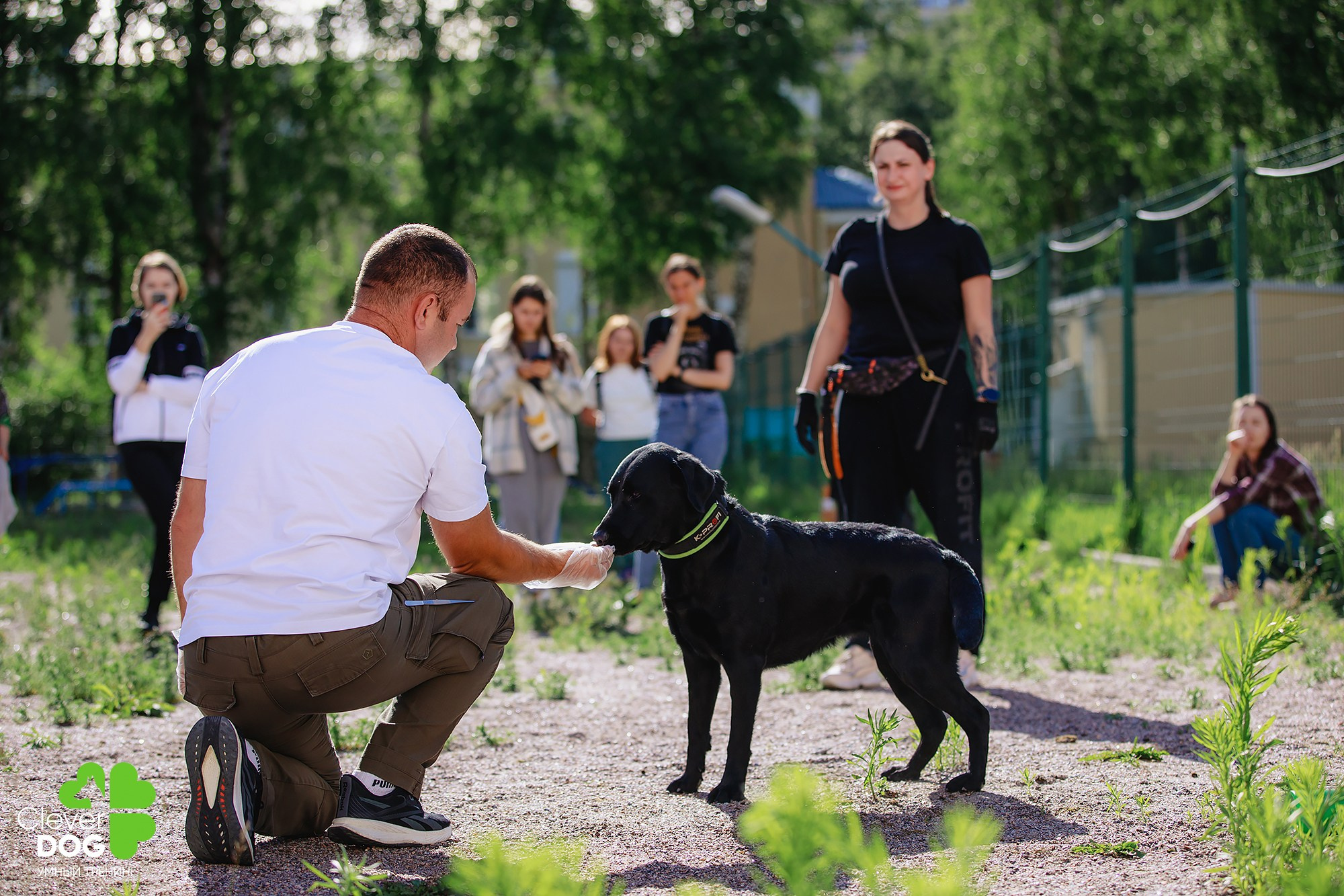 Семинар по поиску запаха с Иваном Ломовым, организатор CleverDog, СПб. Фотограф-анималист Mary Mart — Москва, Питер
