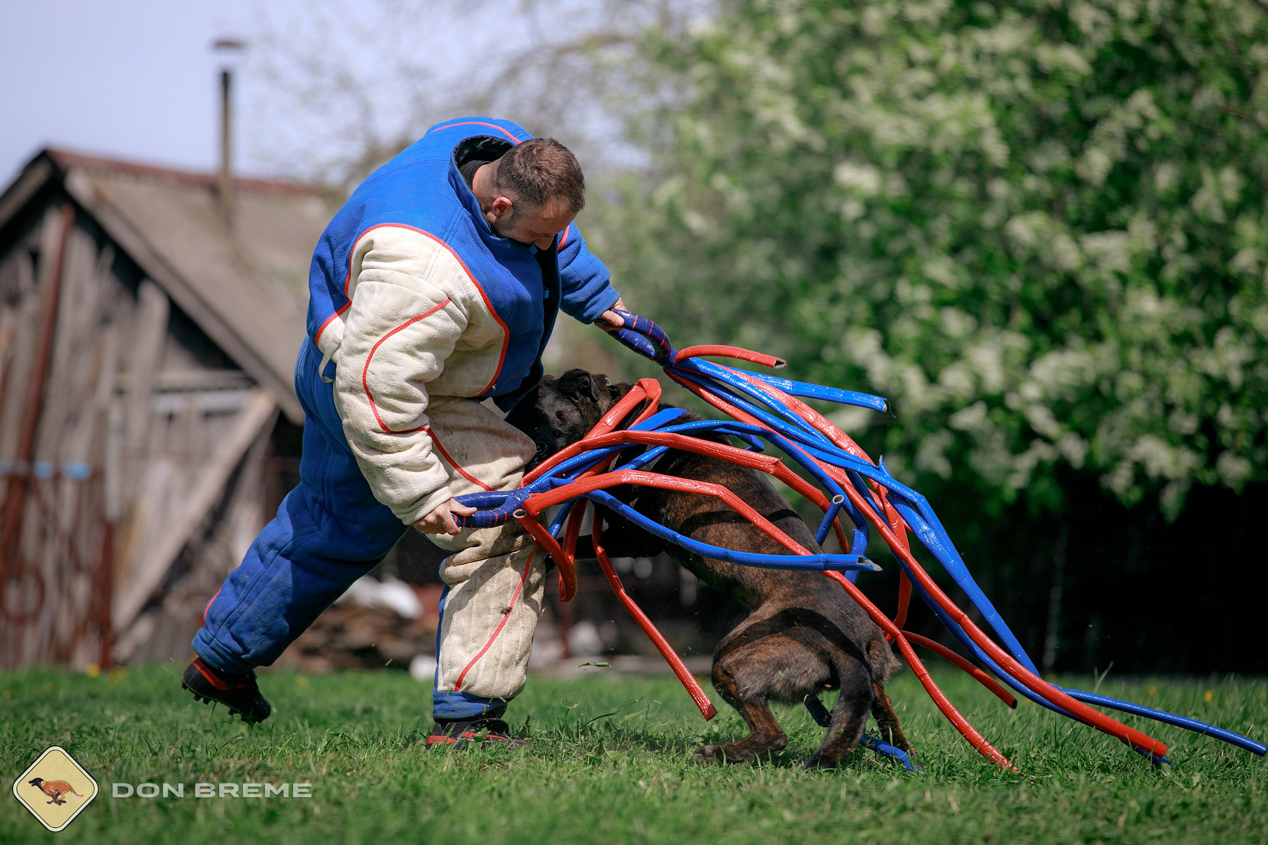 Семинар для фигурантов, день 4. Фотограф-анималист Mary Mart — Москва, Питер