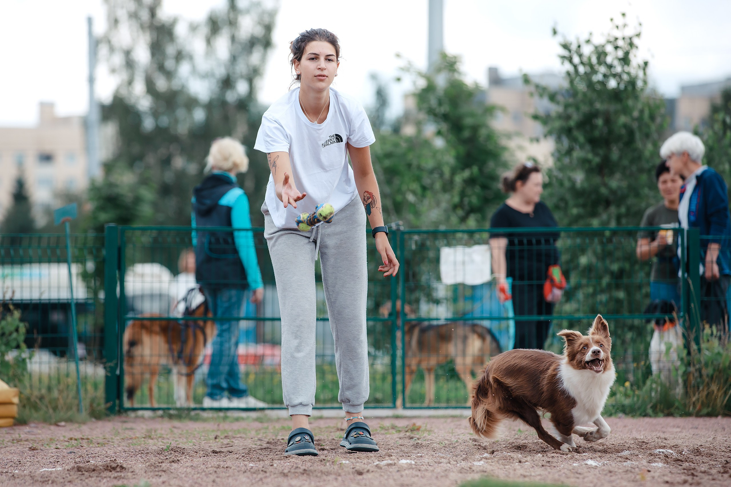 Питч&Гоу + веселые старты. Фотограф-анималист Mary Mart — Москва, Питер