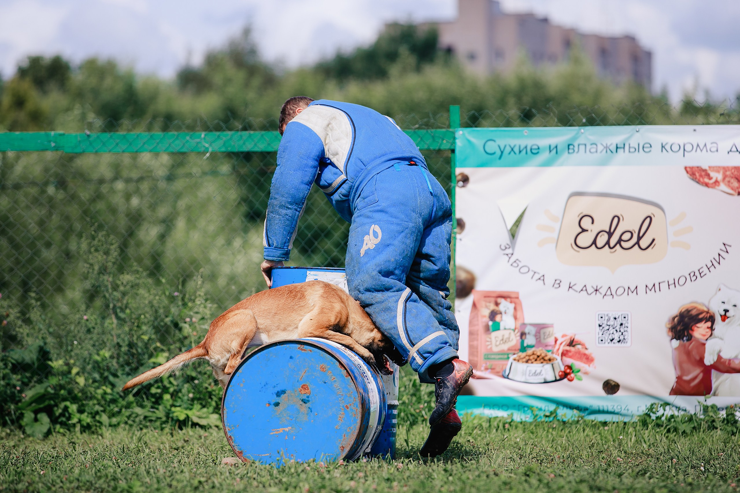 Мондьоринг М1, М2, М3, Вологда. Фотограф-анималист Mary Mart — Москва, Питер