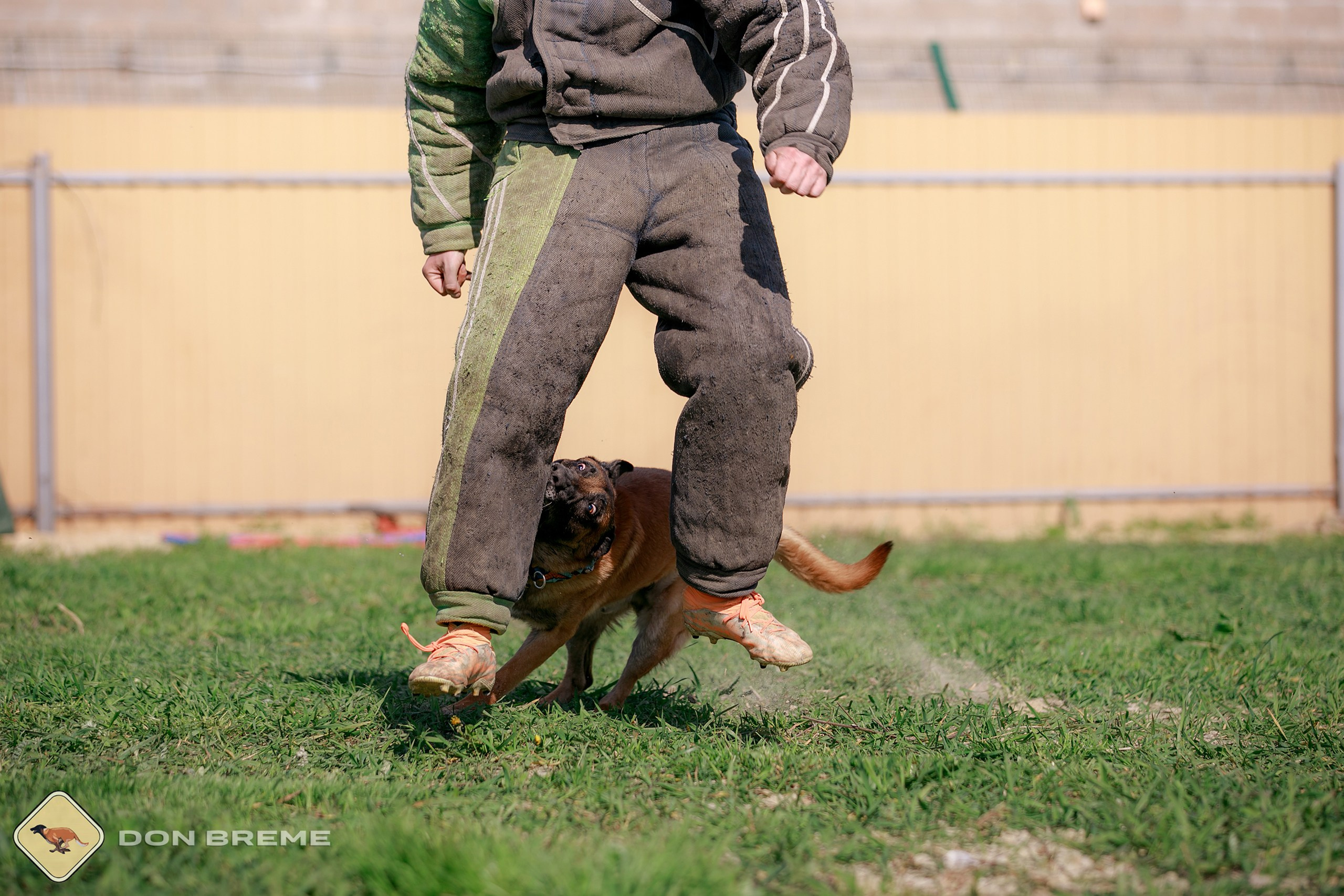 Семинар для фигурантов, день 4. Фотограф-анималист Mary Mart — Москва, Питер