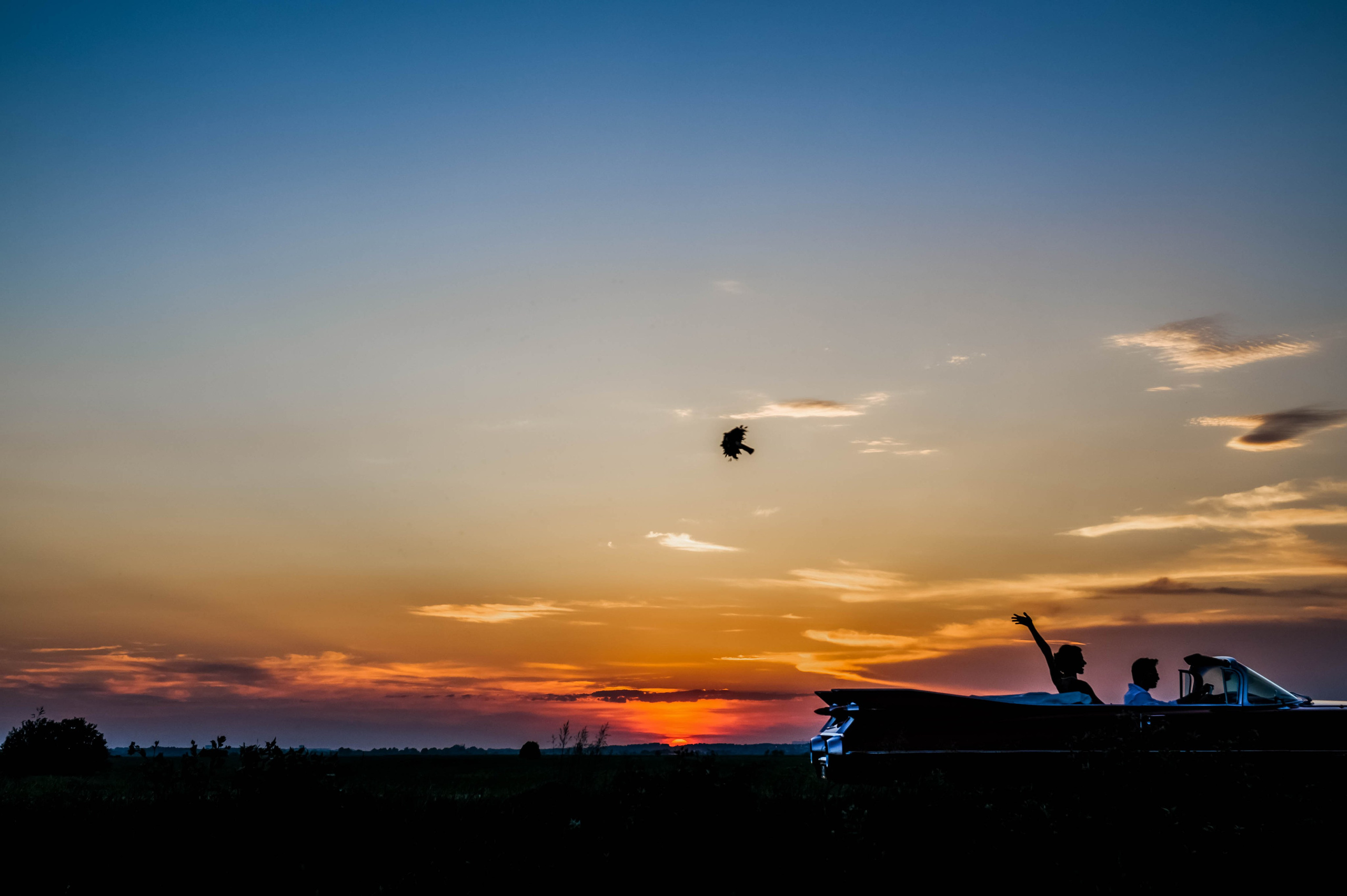 Александр и Ольга. Сергей Шумаков | Свадебный фотограф Москва