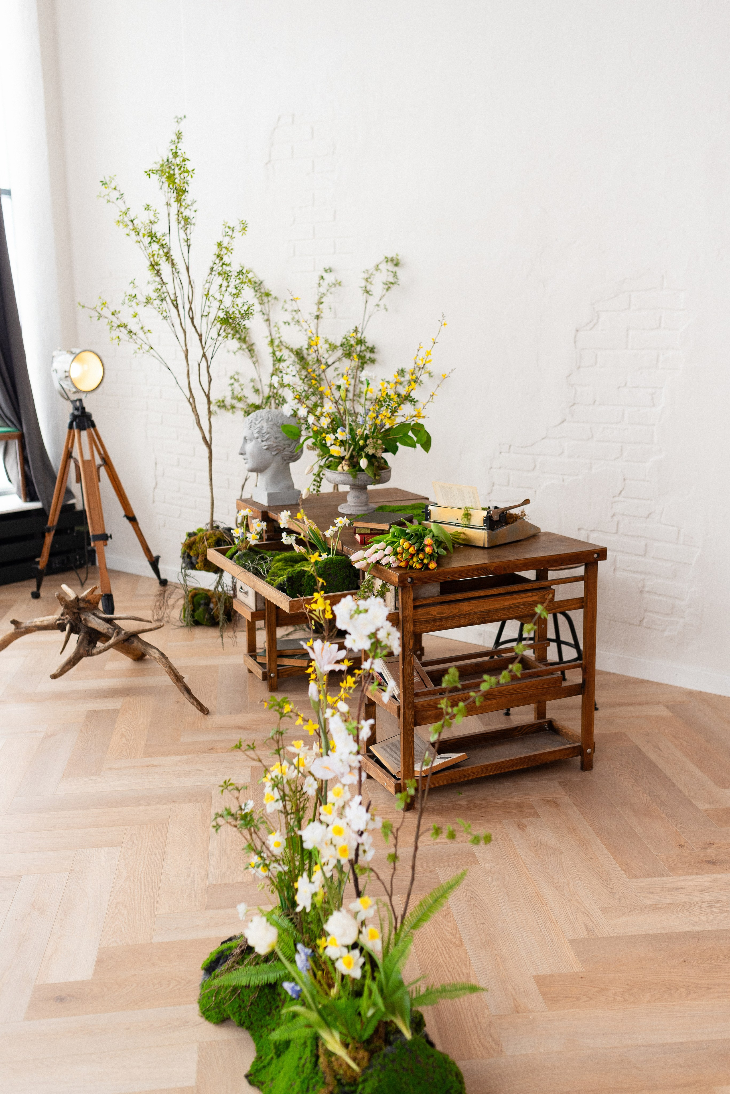 Фотостудия Питер в Сургуте. Детский и семейный фотограф в Сургуте и Нефтеюганске Анна Старцева