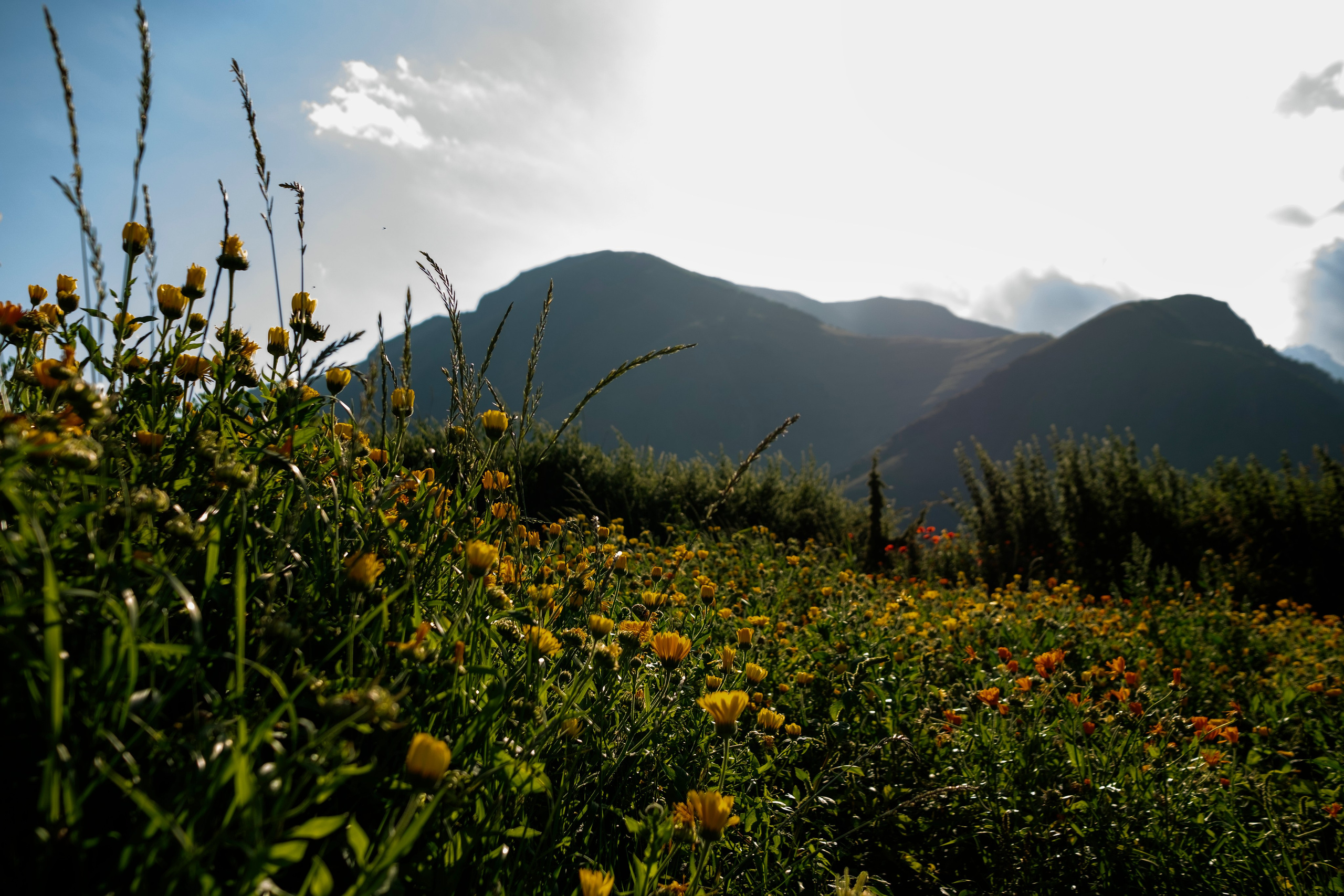 Тбилиси, 2024. Портретный фотограф в Москве Евгения Яковенко