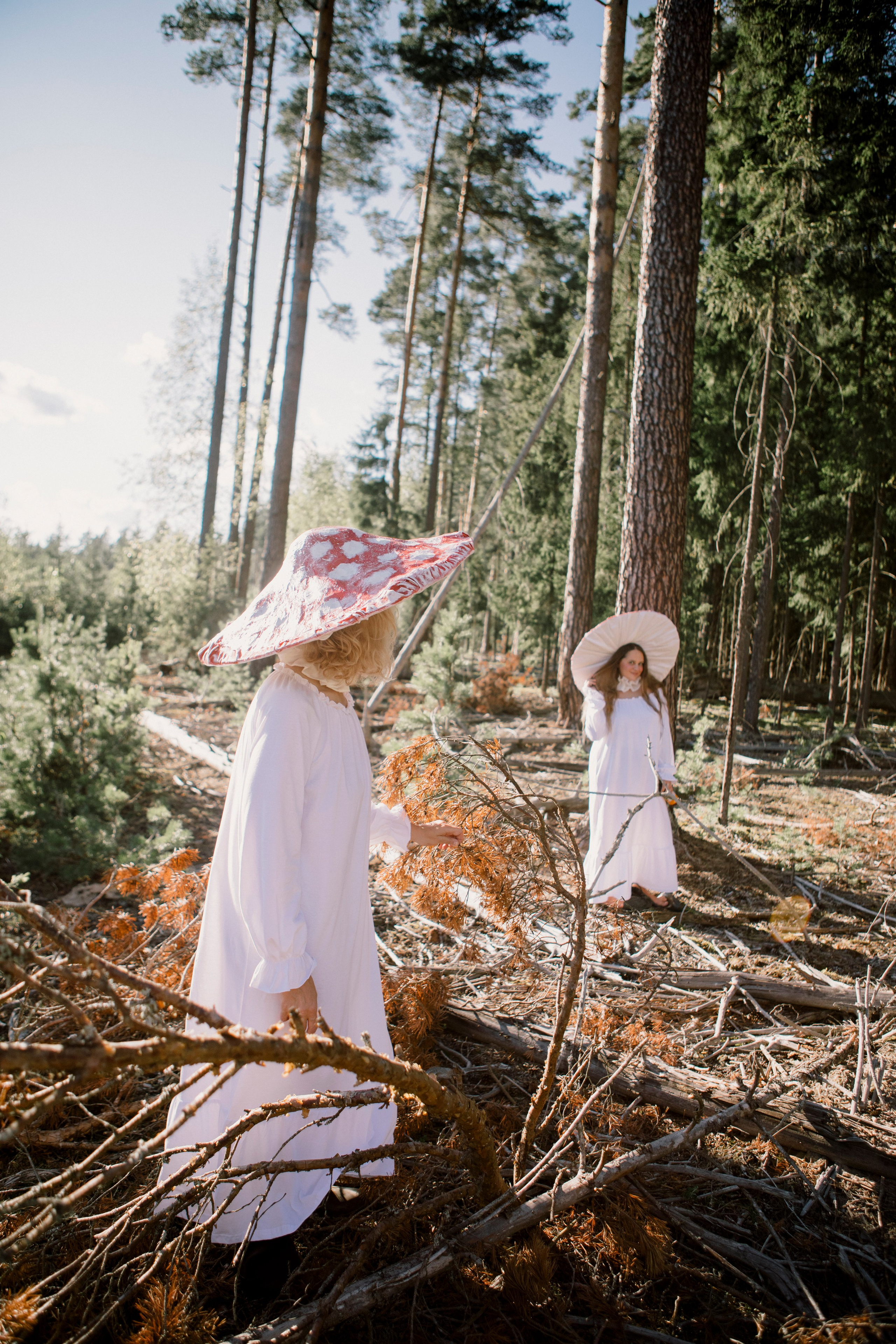Грибы. Ольга Пилант. АРТ, бэкстейдж, свадебная и семейная фотография, городской портрет, интерьерная фотография