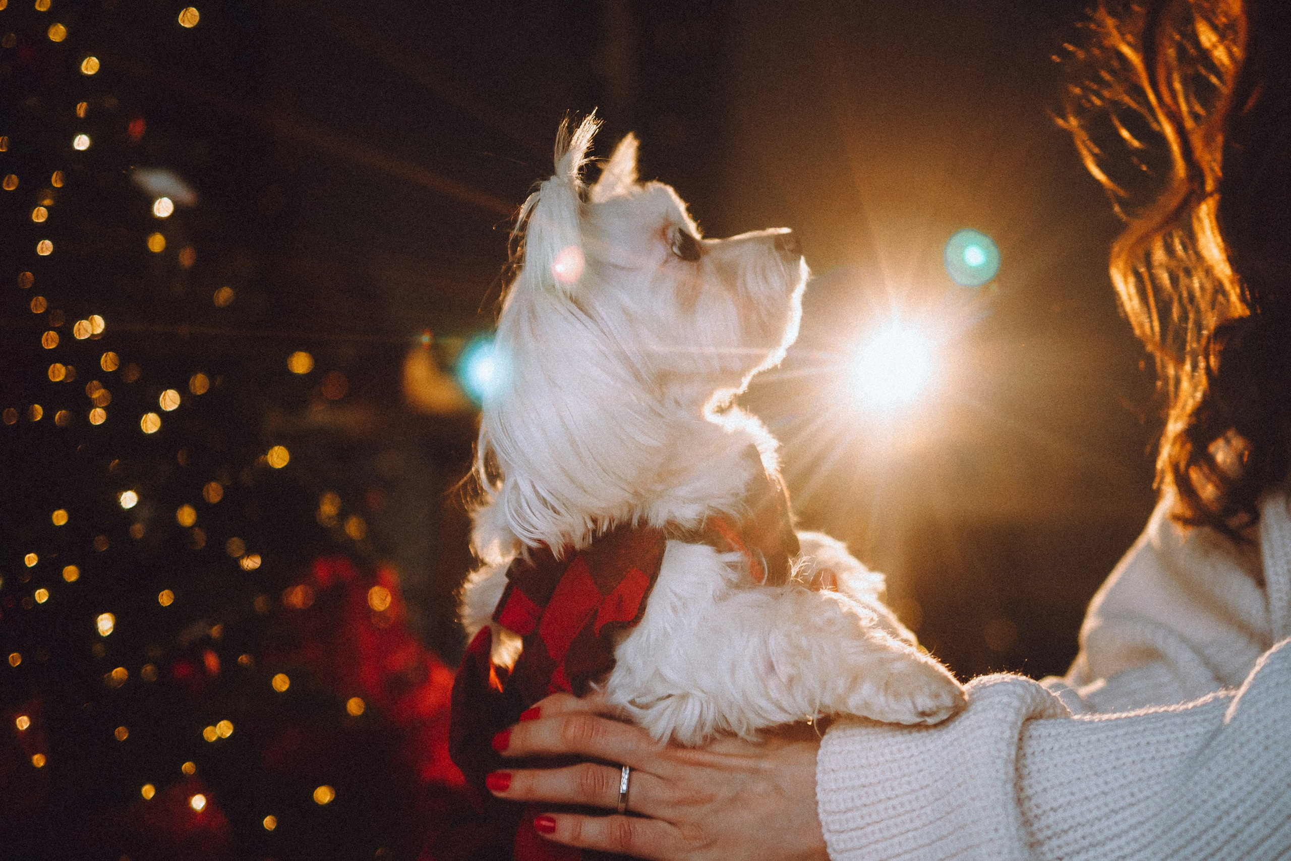 Констанция и Молли