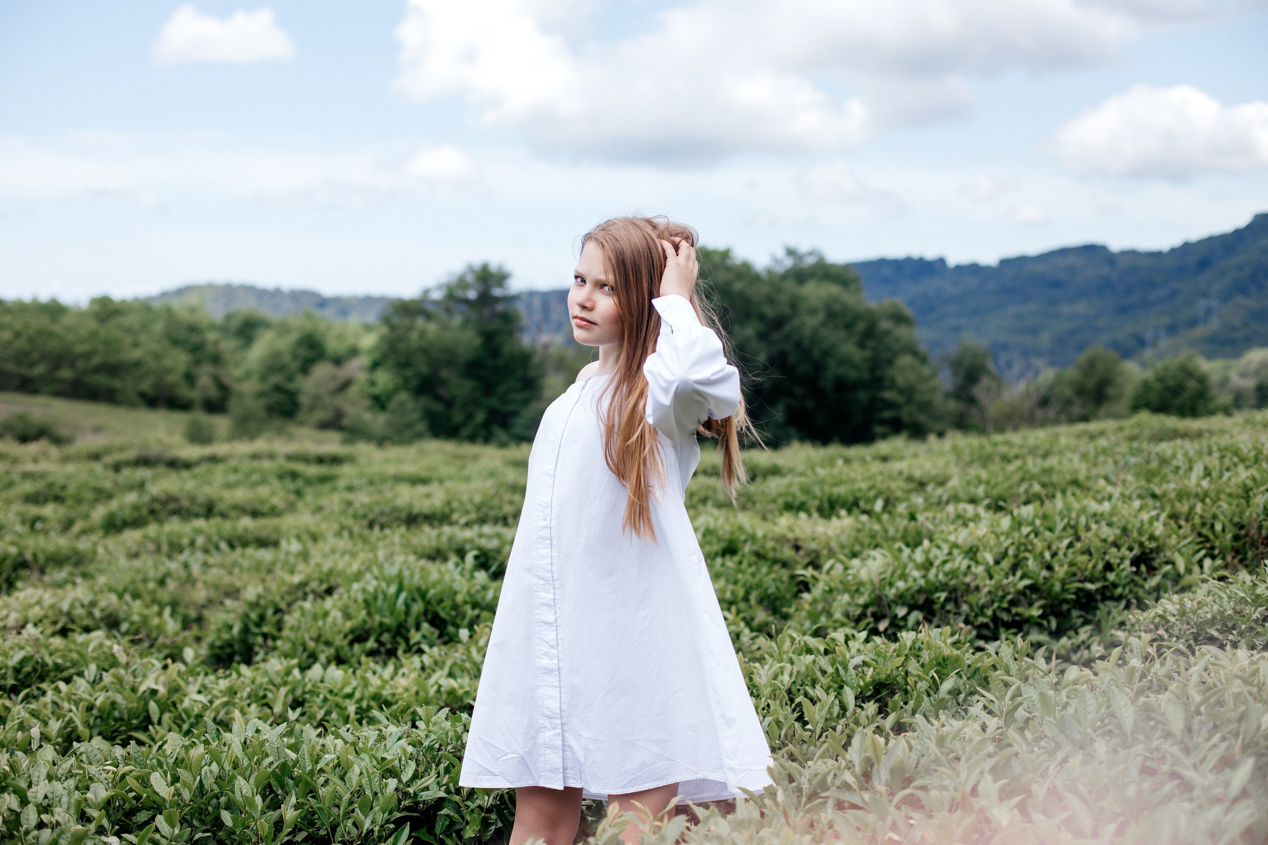 Tea plantation. Efimova Model Agency