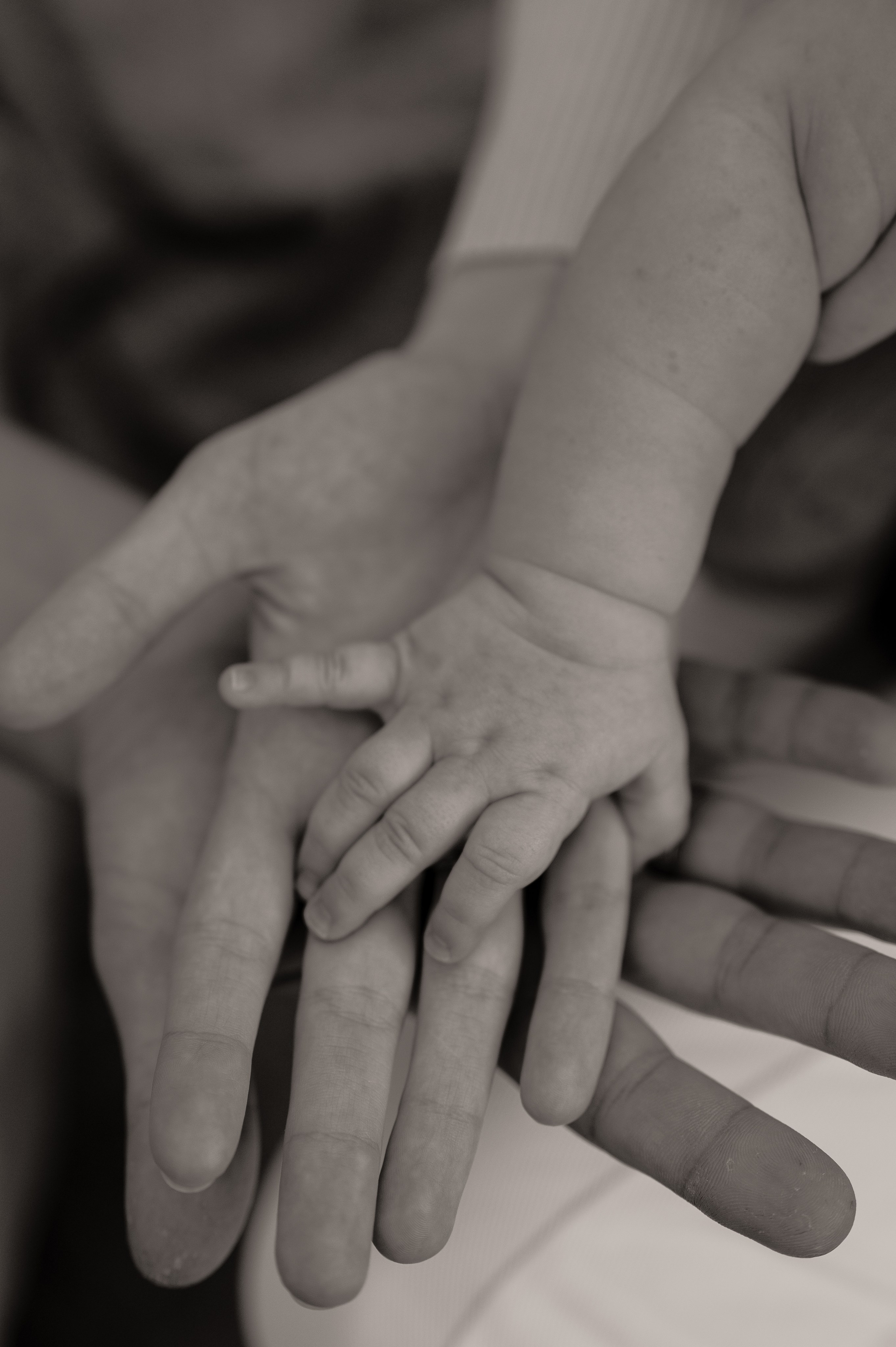 FAM🤍. Свадебный и семейный фотограф в Краснодаре Алина Мельник