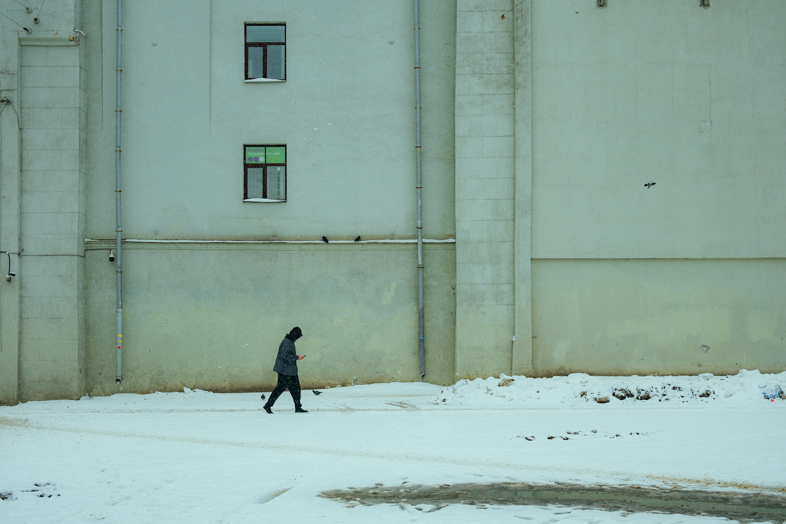 Петербург. Екатерина Лапина фотографирует