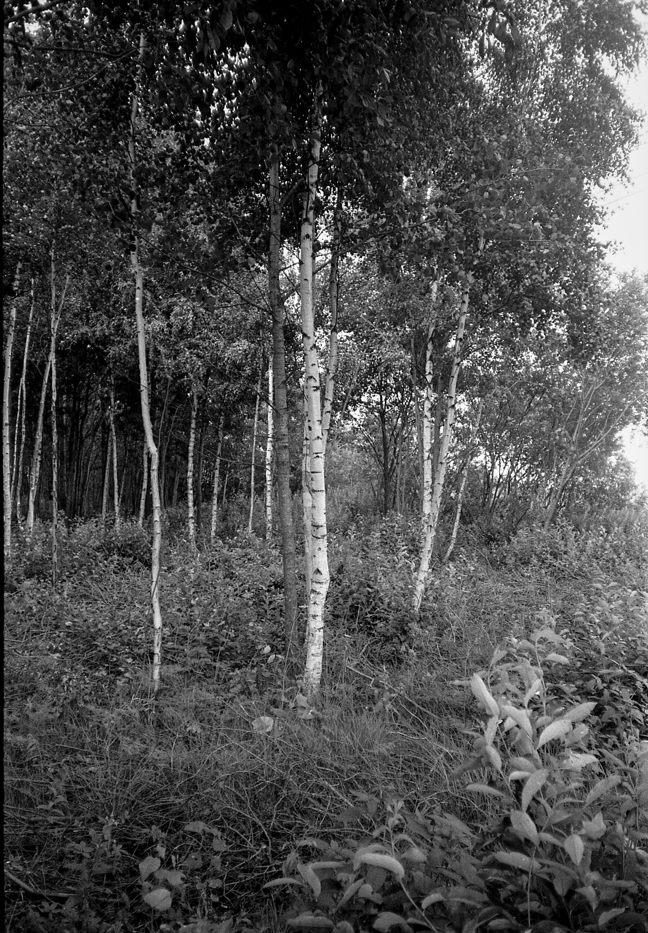 Окраины. Works