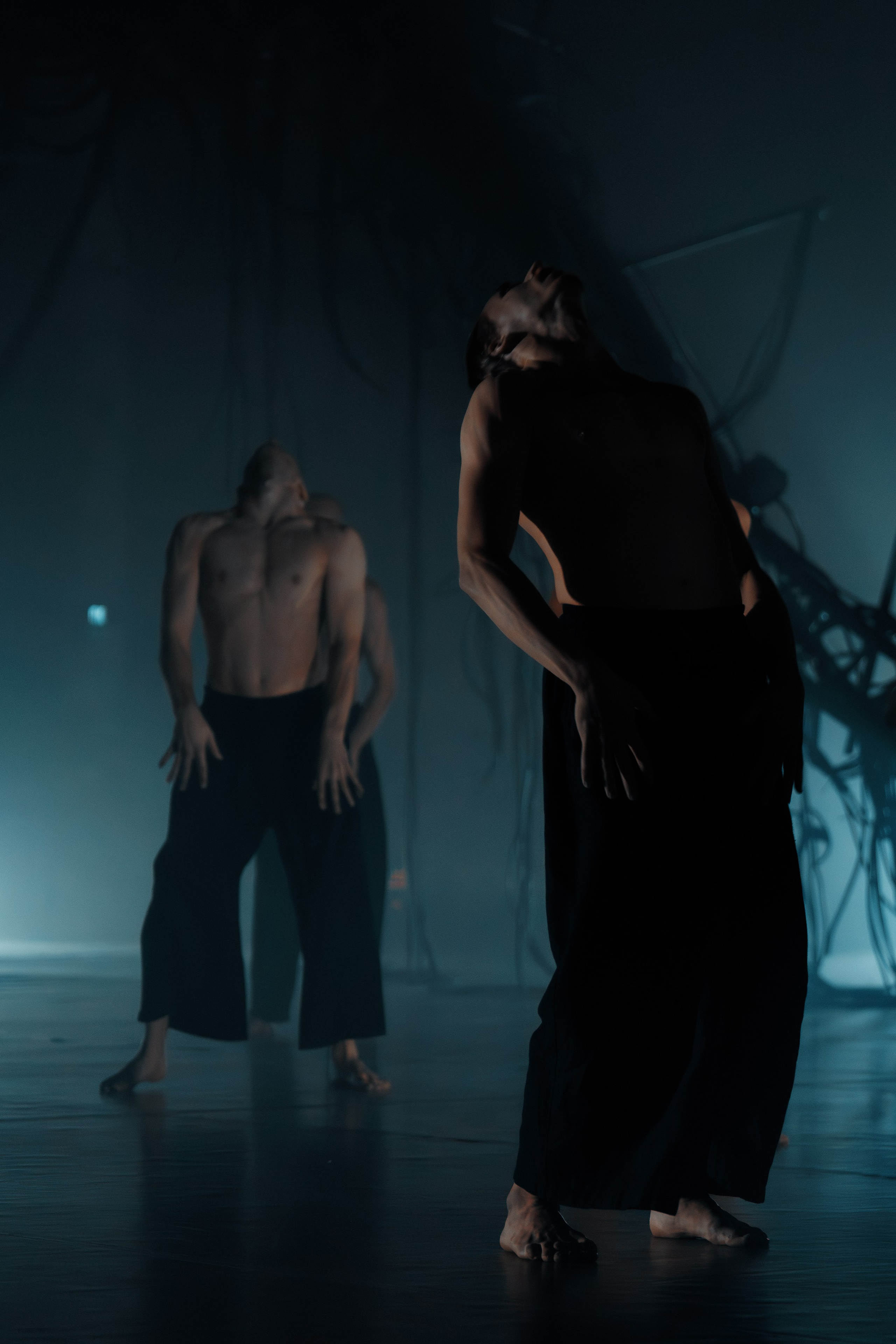 PERFORMA, The Hour of the Horse. @tomrus: Рустам Шагиморданов — фотограф