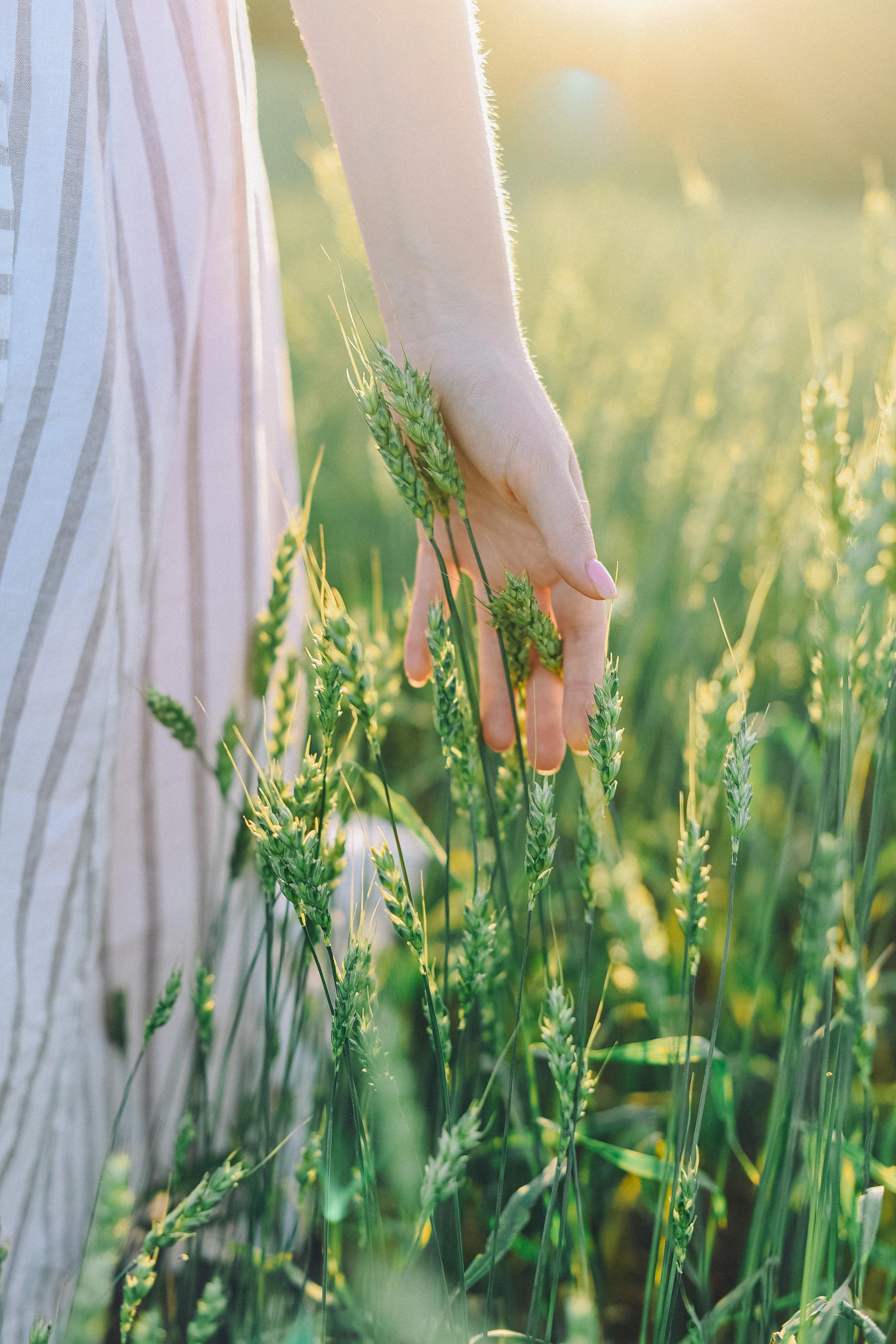 Макс и Маша. Семейный фотограф в Красноярске Ольга Бородина