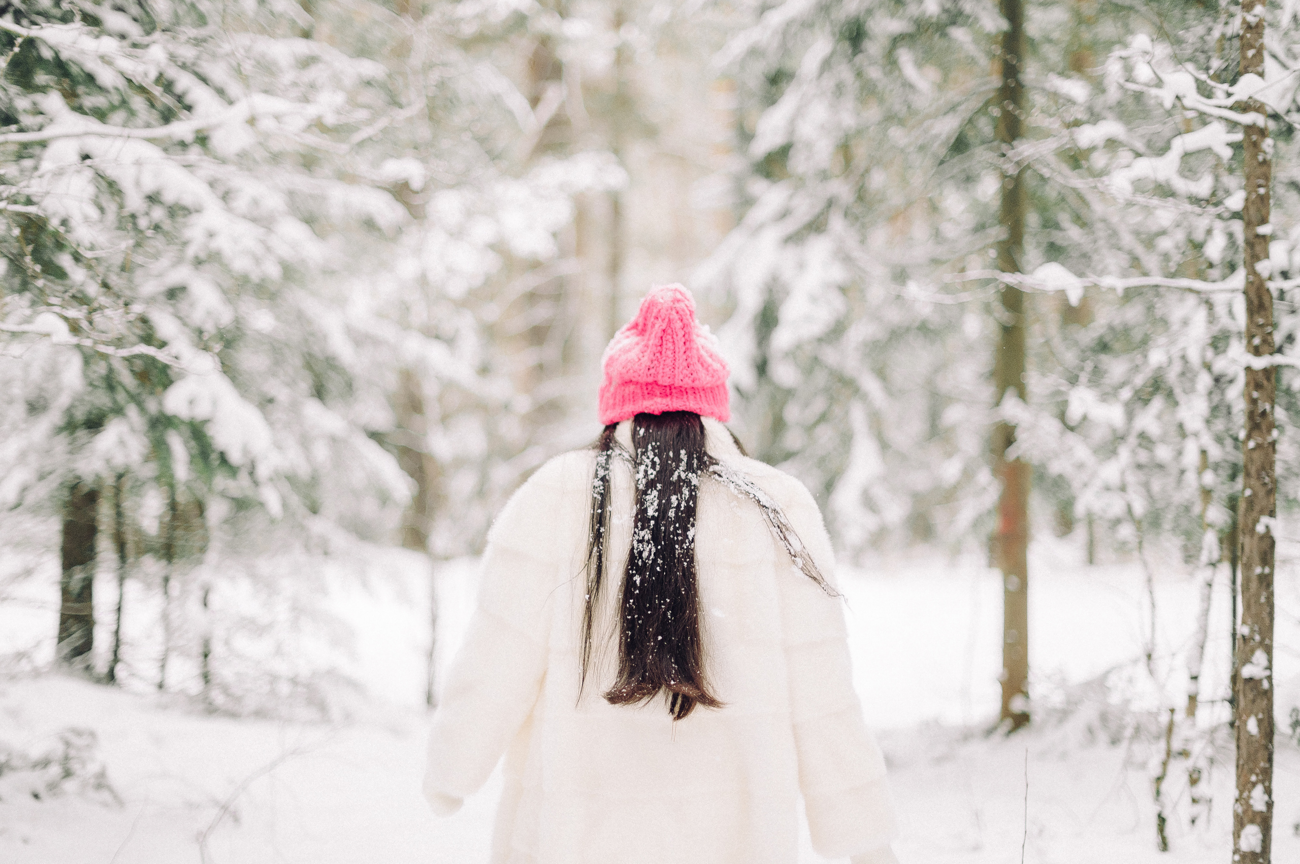 Зимняя лесная сказка. Семейный фотограф в Красноярске Ольга Бородина