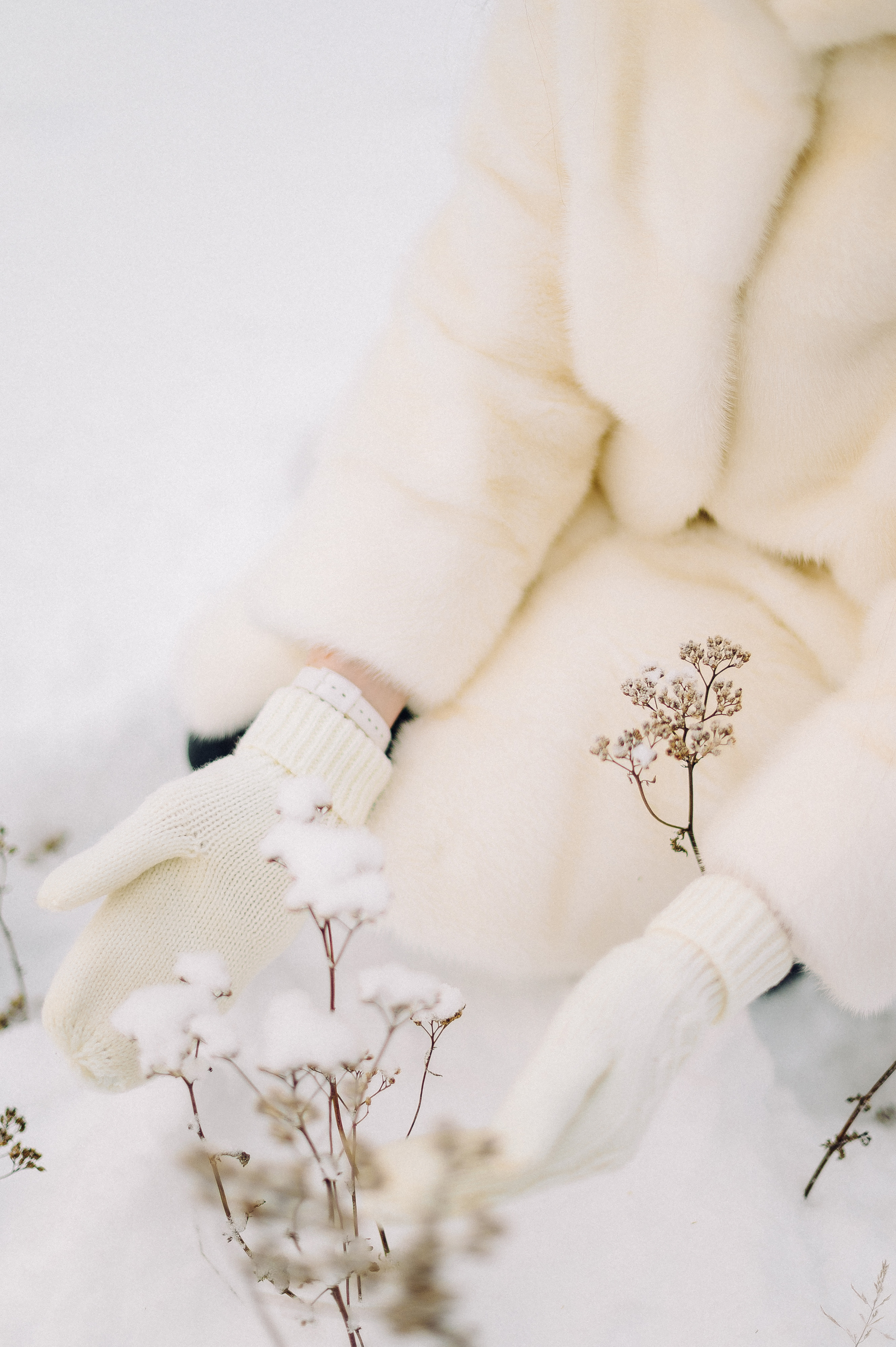 Семейный фотограф в Красноярске Ольга Бородина