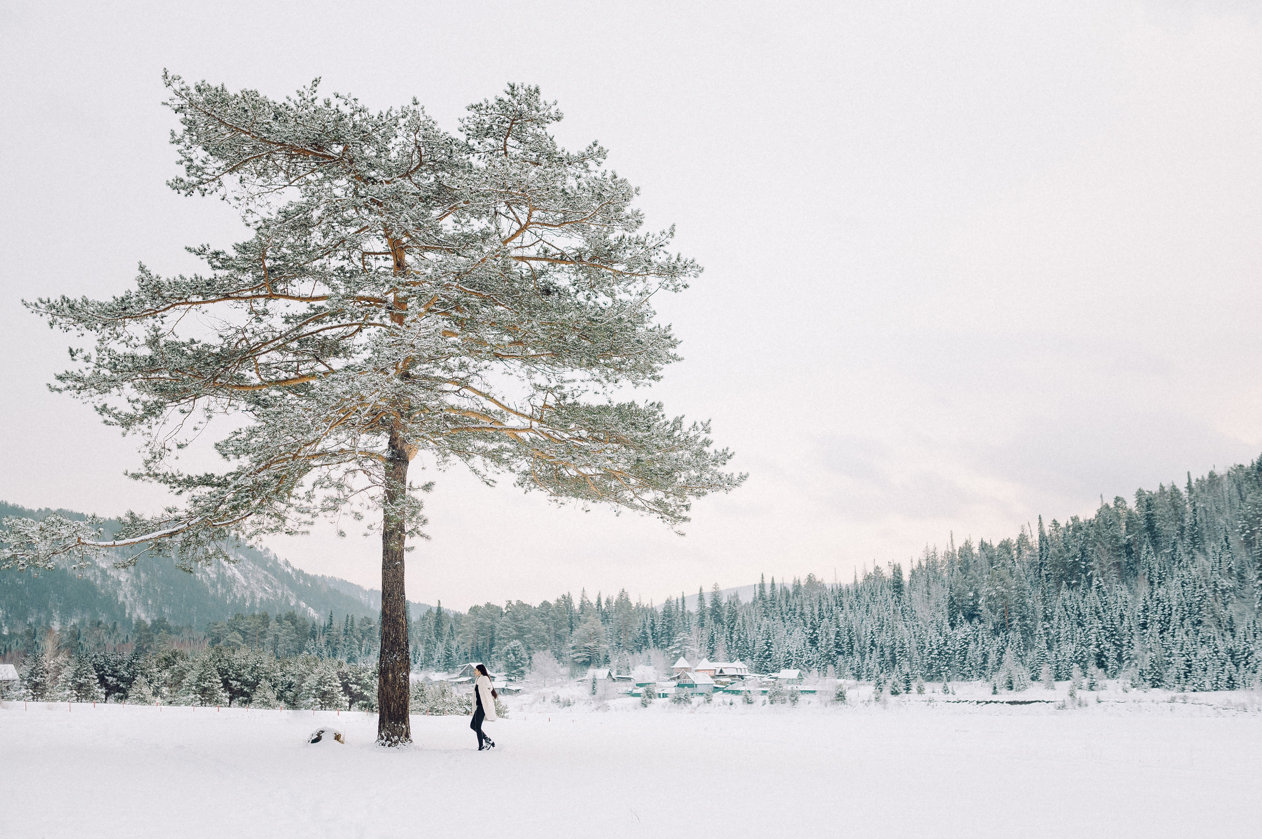 Зимняя лесная сказка. Семейный фотограф в Красноярске Ольга Бородина