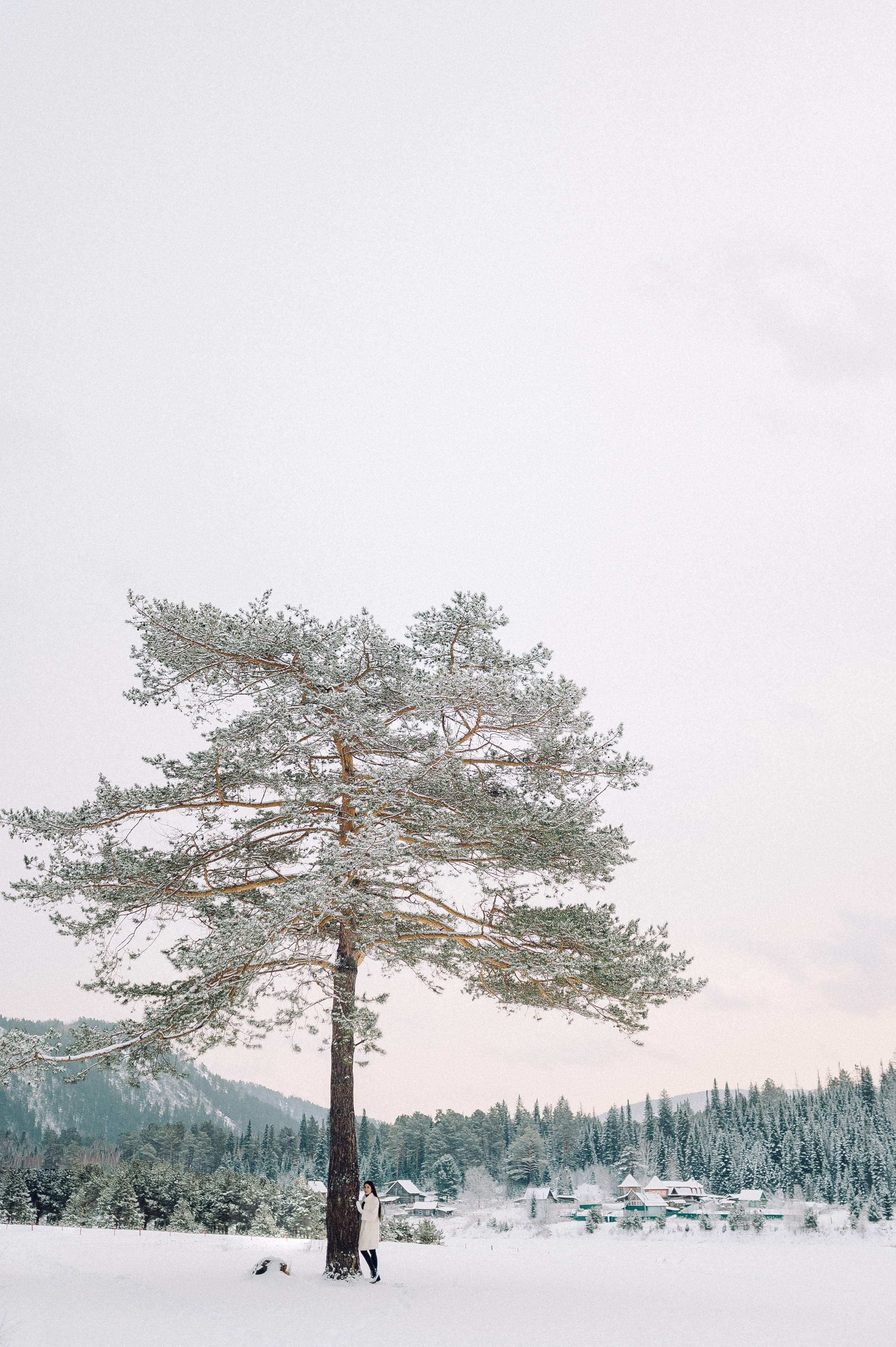Зимняя лесная сказка. Семейный фотограф в Красноярске Ольга Бородина