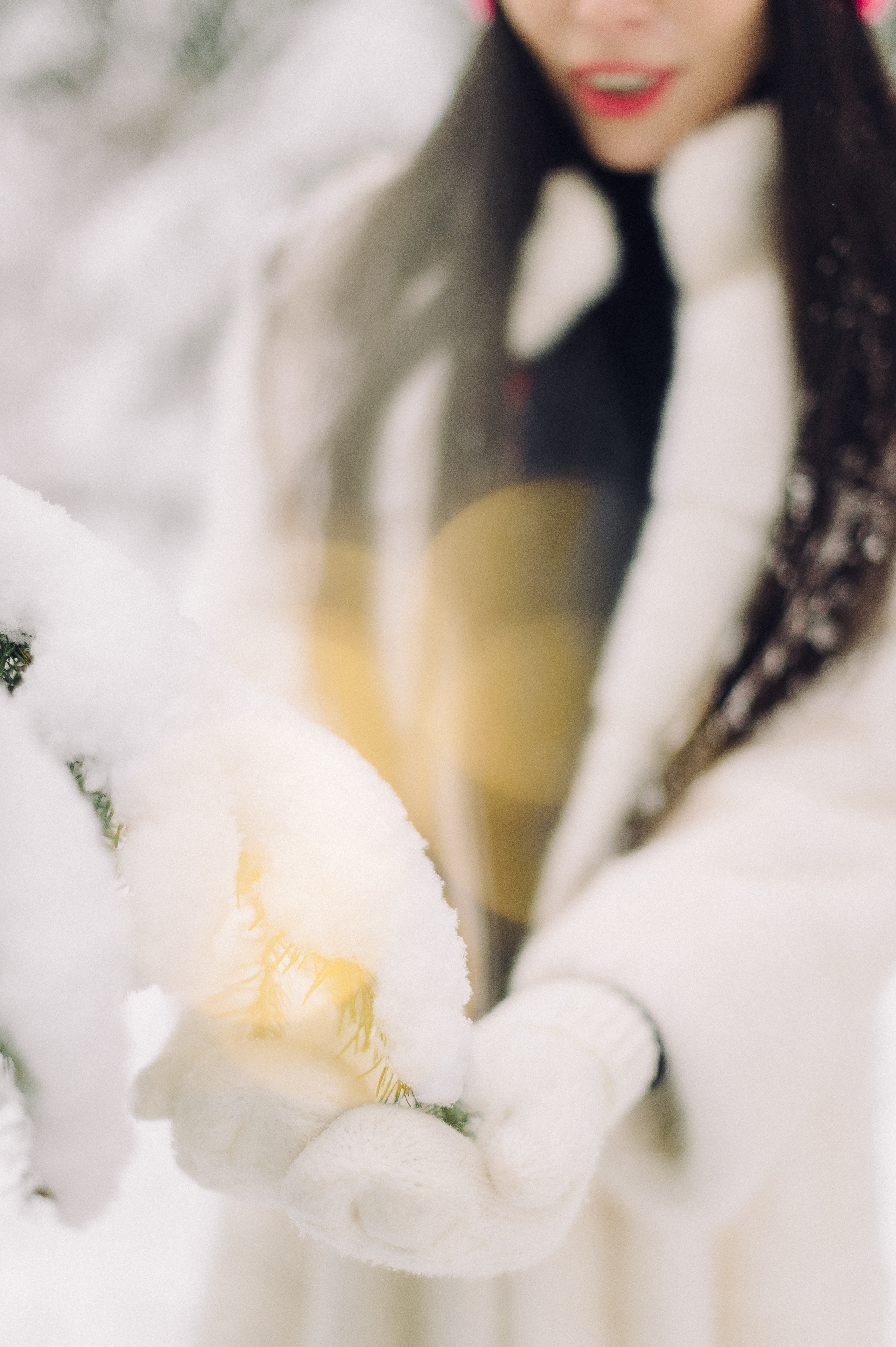 Зимняя лесная сказка. Семейный фотограф в Красноярске Ольга Бородина