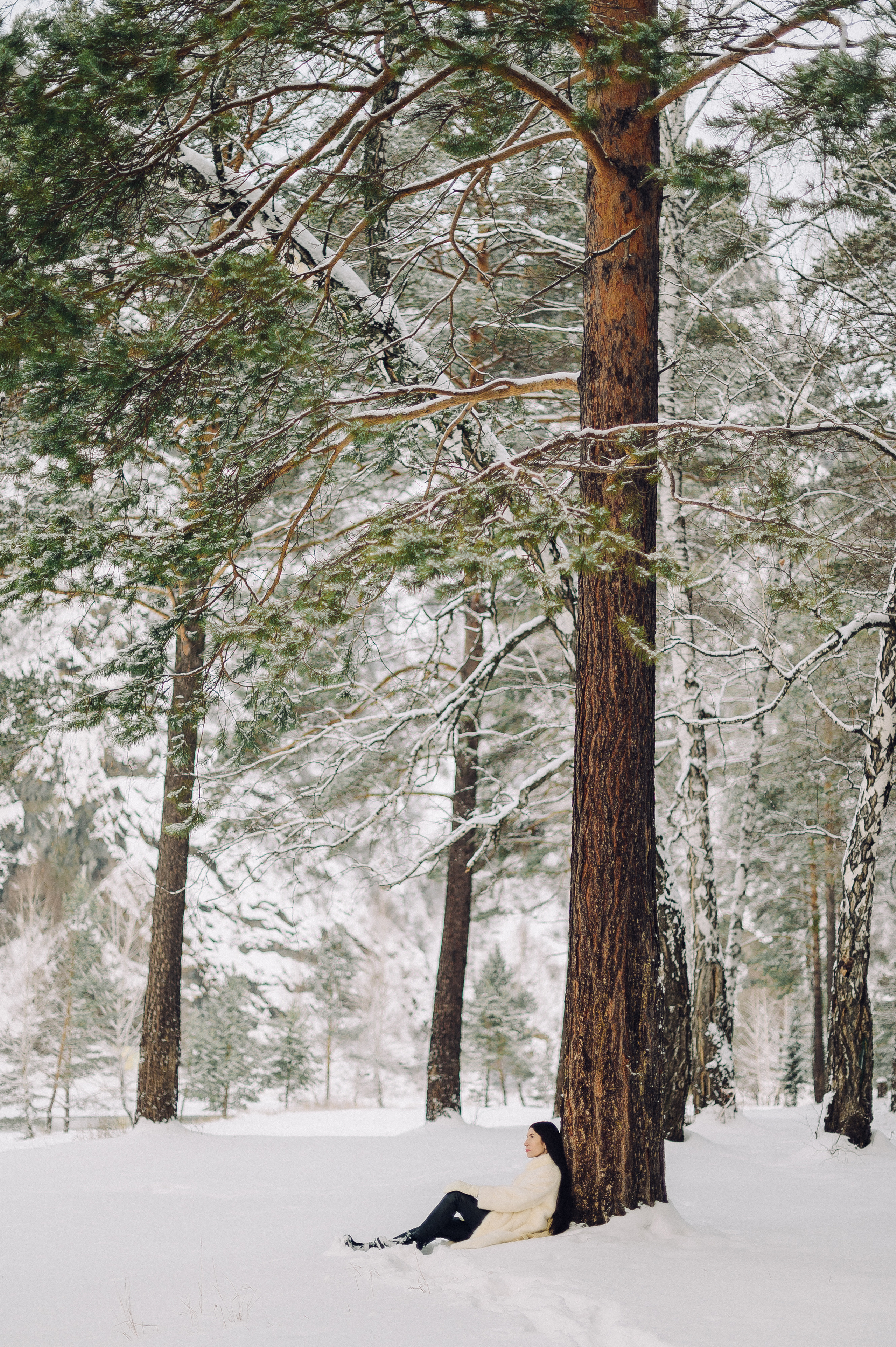 Зимняя лесная сказка. Семейный фотограф в Красноярске Ольга Бородина
