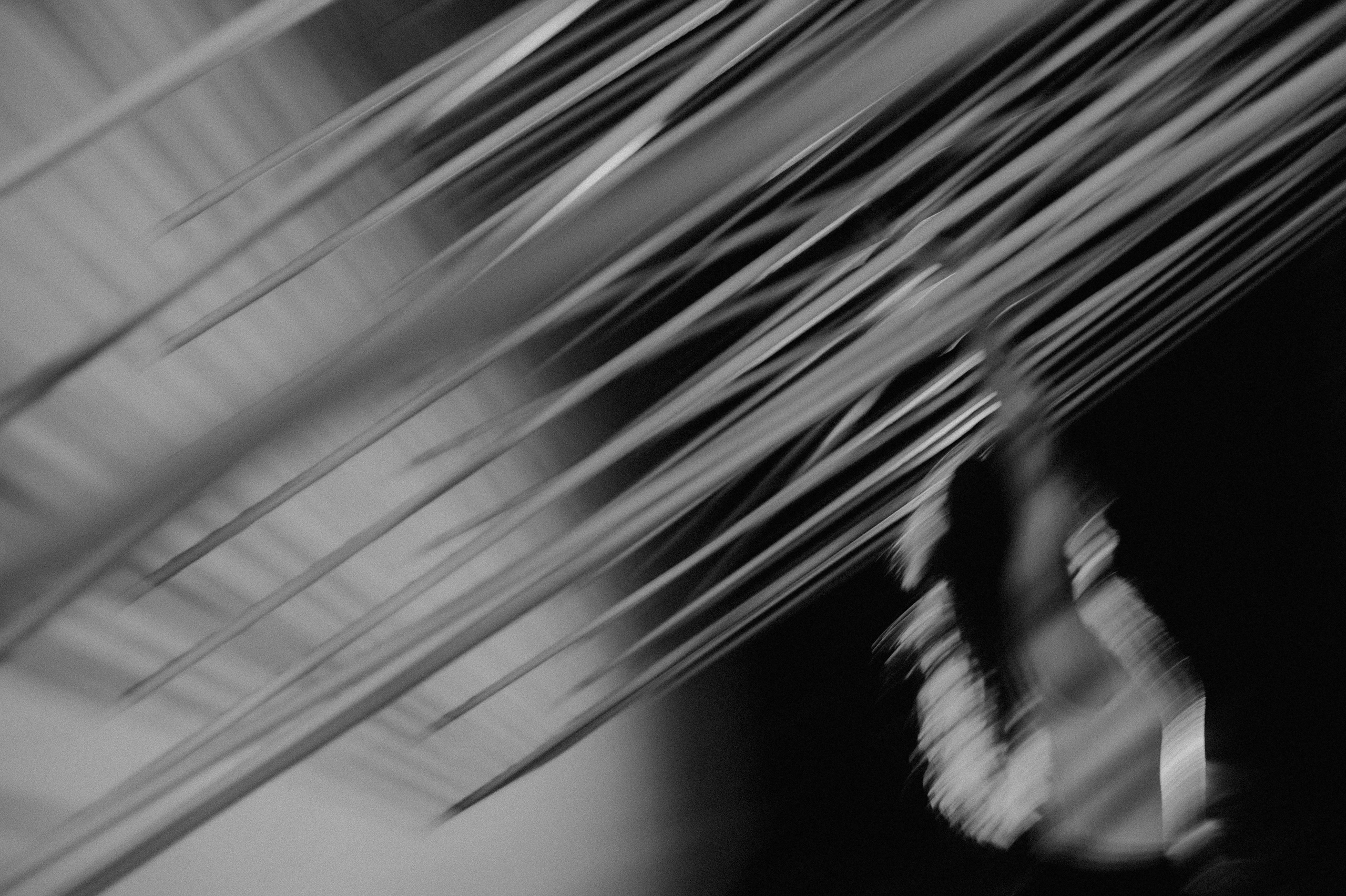 Светопись. Семейный фотограф в Красноярске Ольга Бородина