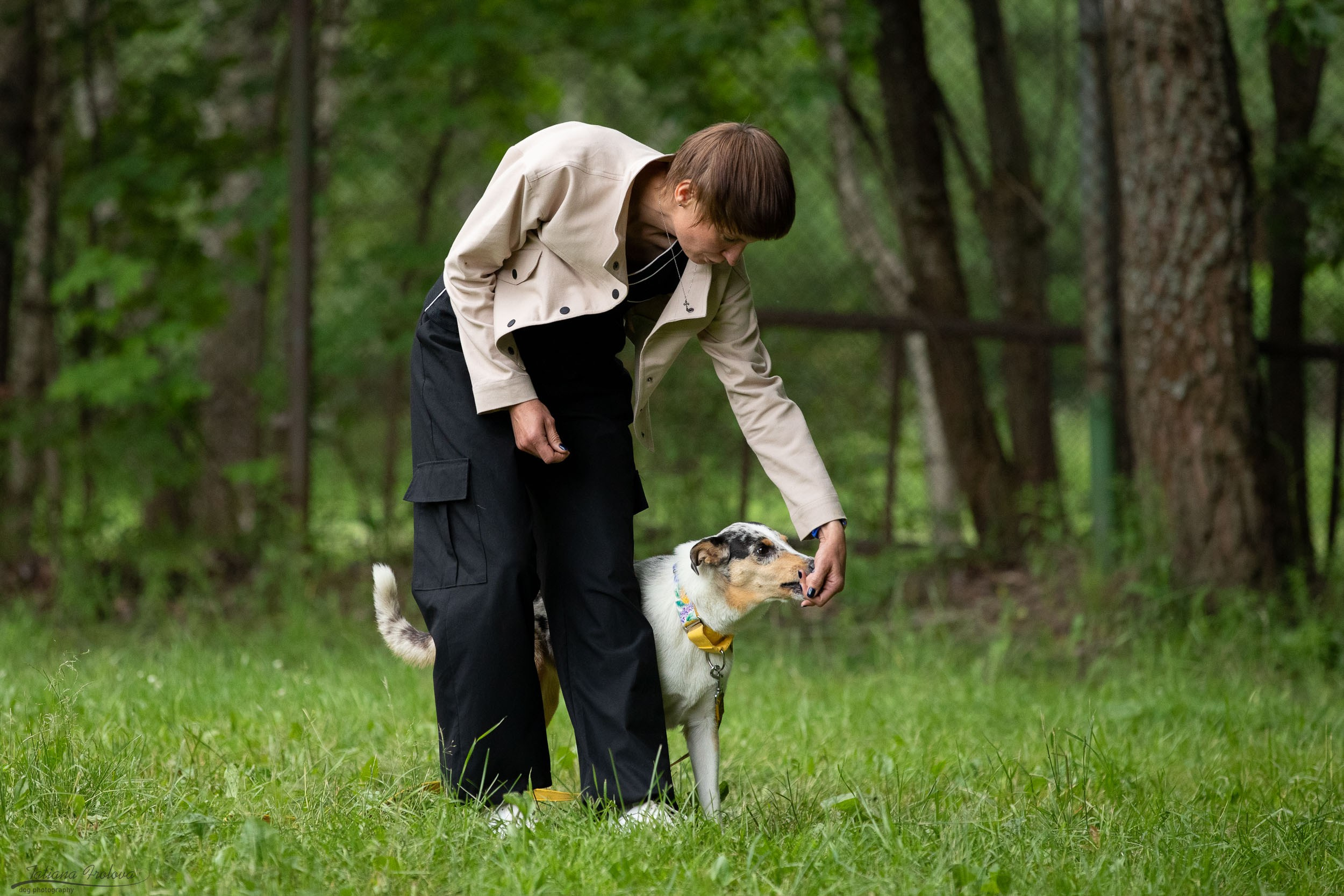 Репортаж с выводки молодняка колли/шелти в Ясенево. Фотограф-анималист в Москве и Московской области Татьяна Фролова