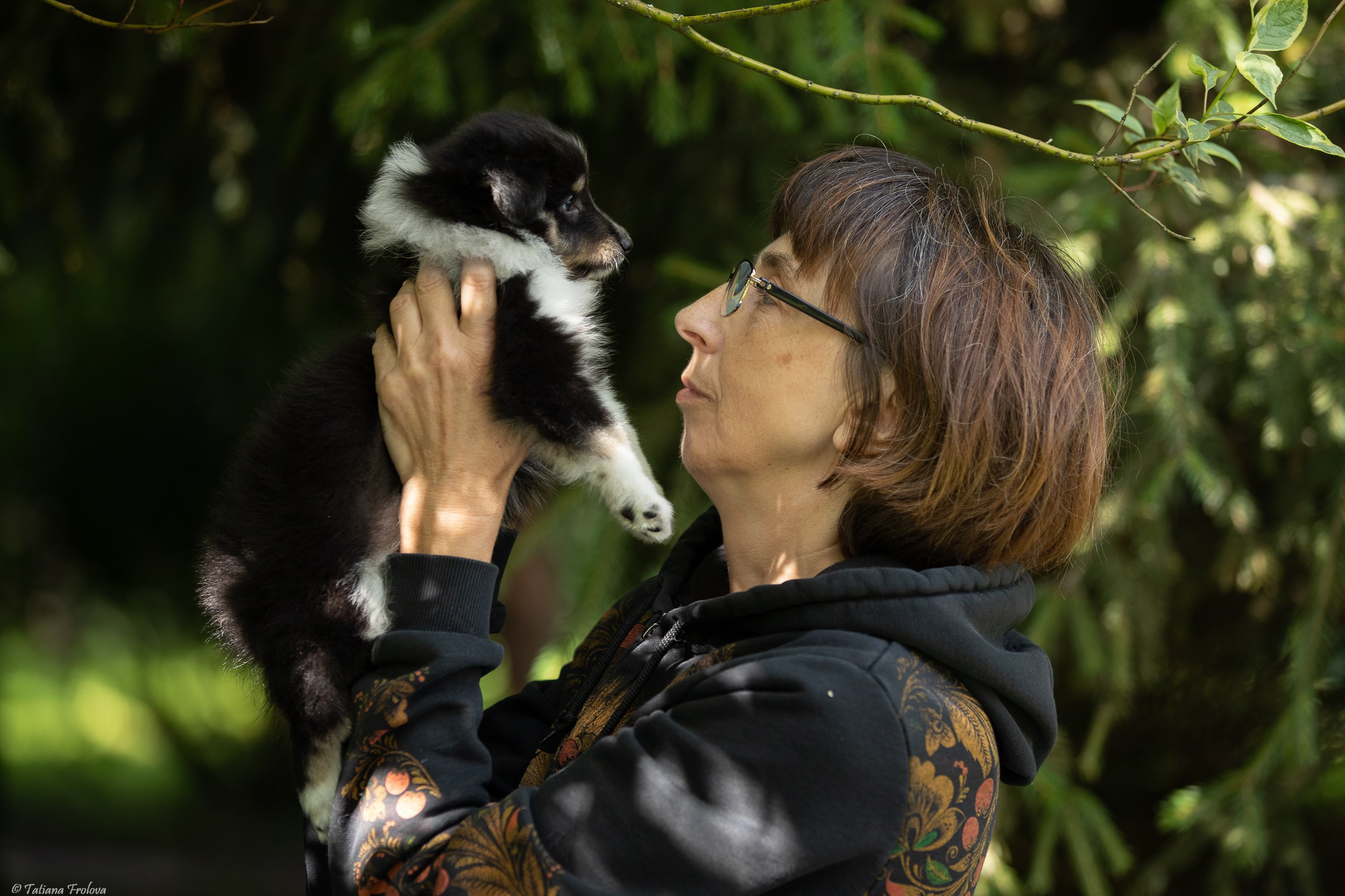 Фото помета щенков для продажи. Фотограф-анималист в Москве и Московской области Татьяна Фролова