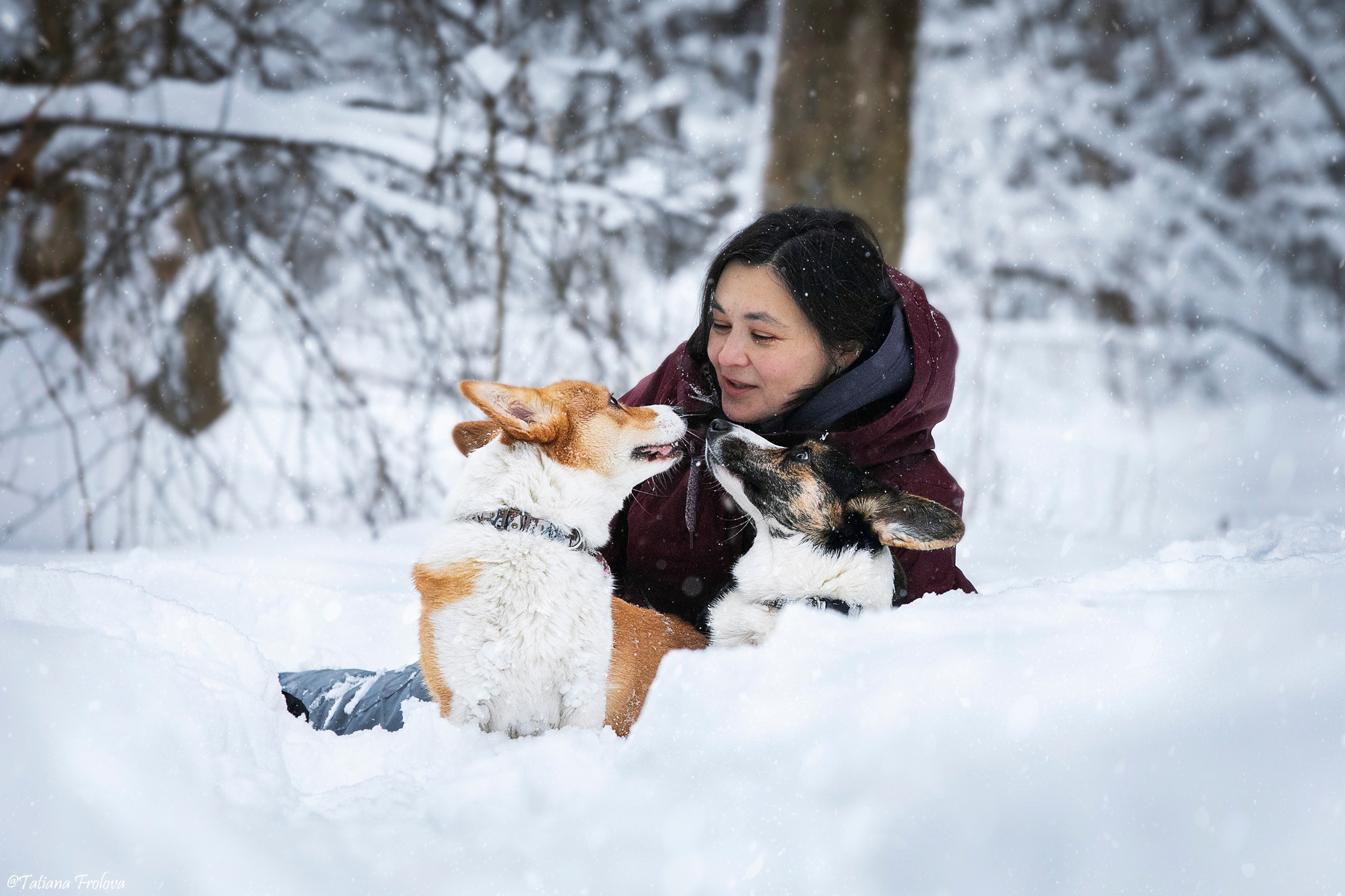 Фотосессия с собаками в зимнем лесу в Пушкино. Фотограф-анималист в Москве и Московской области Татьяна Фролова