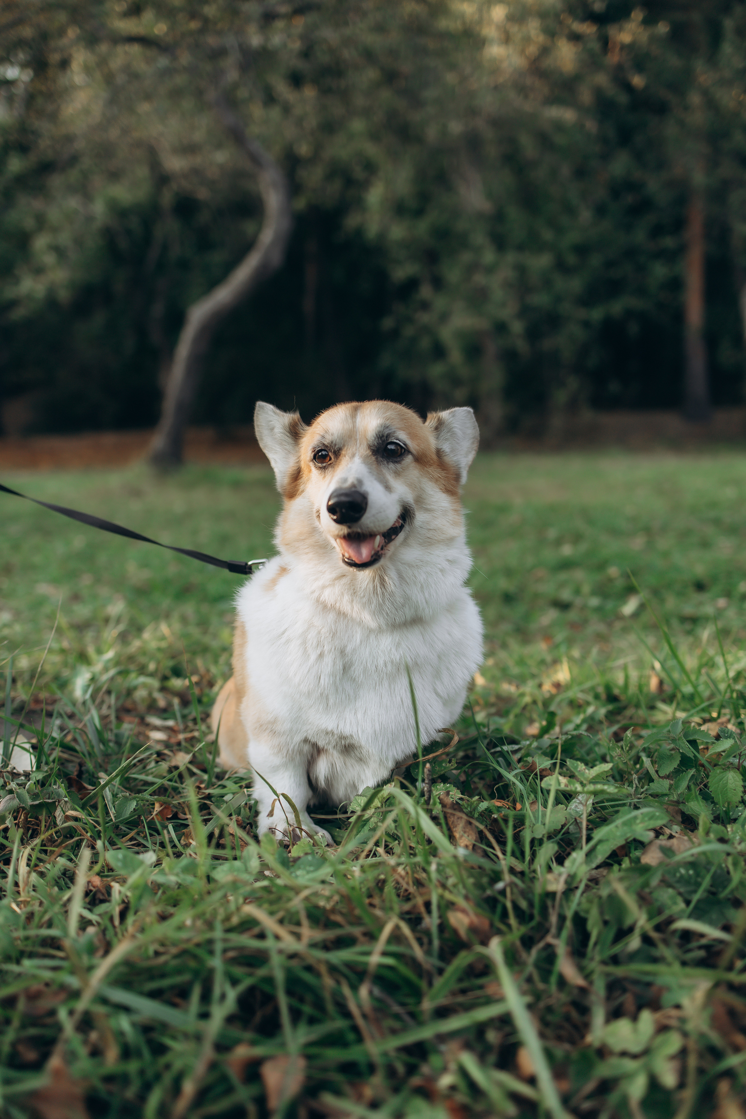 Елена, Никита и Антон. Семейный, домашний, ньюборн фотограф Москва Цветкова Елизавета