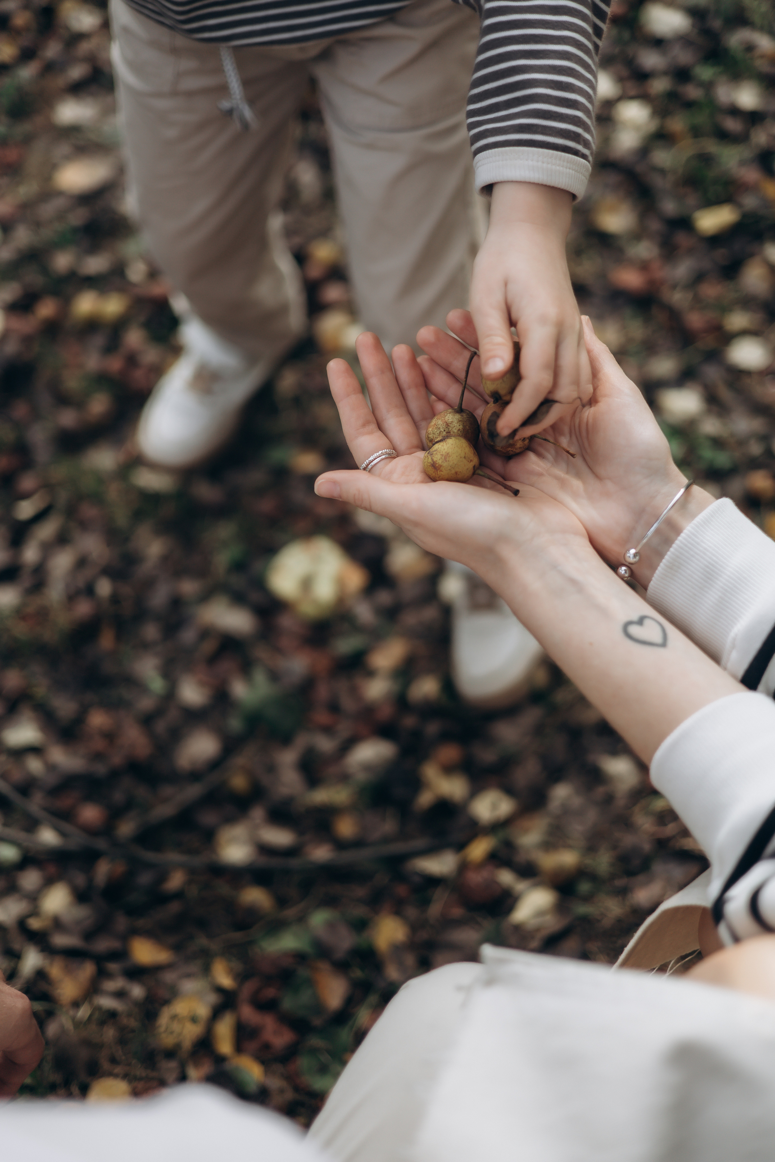 Елена, Никита и Антон. Семейный, домашний, ньюборн фотограф Москва Цветкова Елизавета