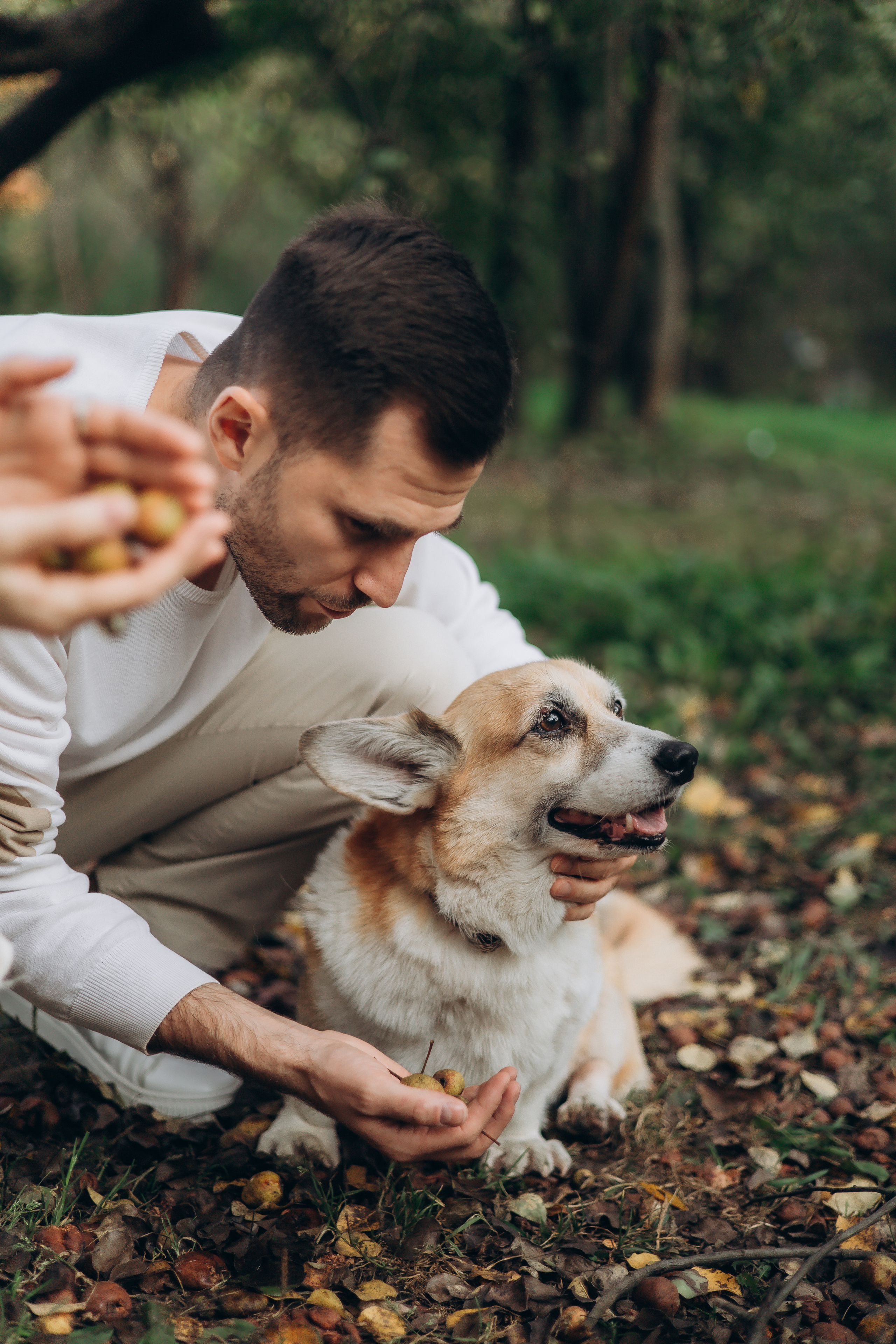 Елена, Никита и Антон. Семейный, домашний, ньюборн фотограф Москва Цветкова Елизавета