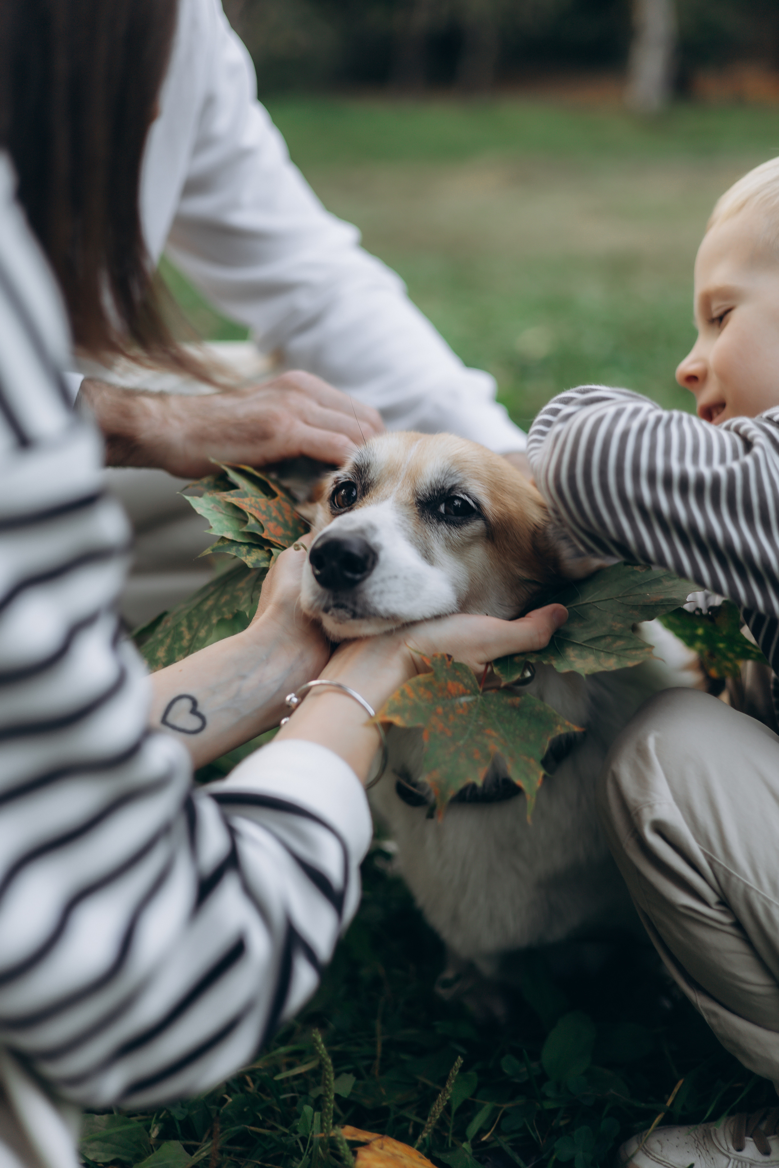 Елена, Никита и Антон. Семейный, домашний, ньюборн фотограф Москва Цветкова Елизавета