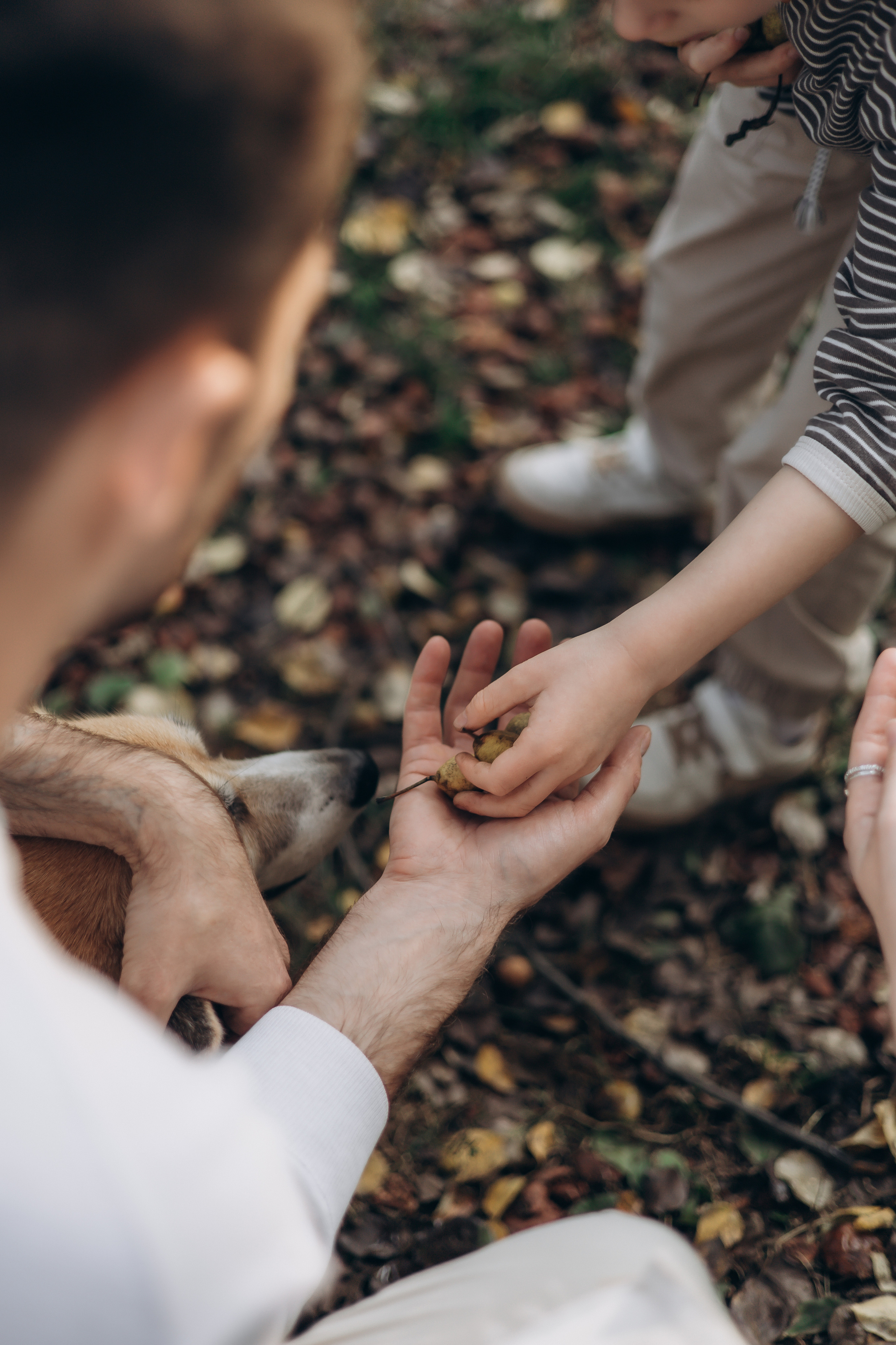 Елена, Никита и Антон. Семейный, домашний, ньюборн фотограф Москва Цветкова Елизавета