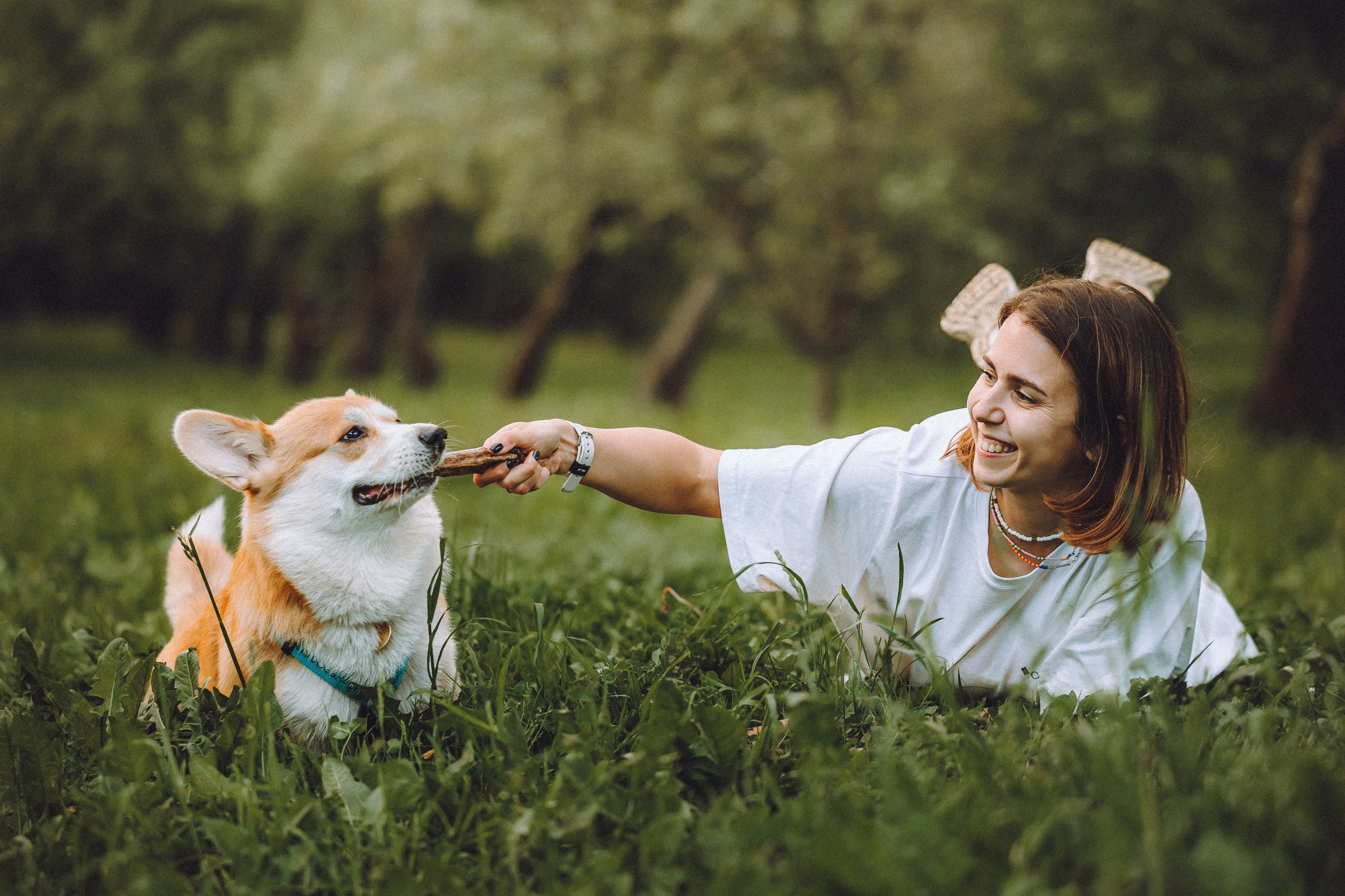 Вирджик и его семья