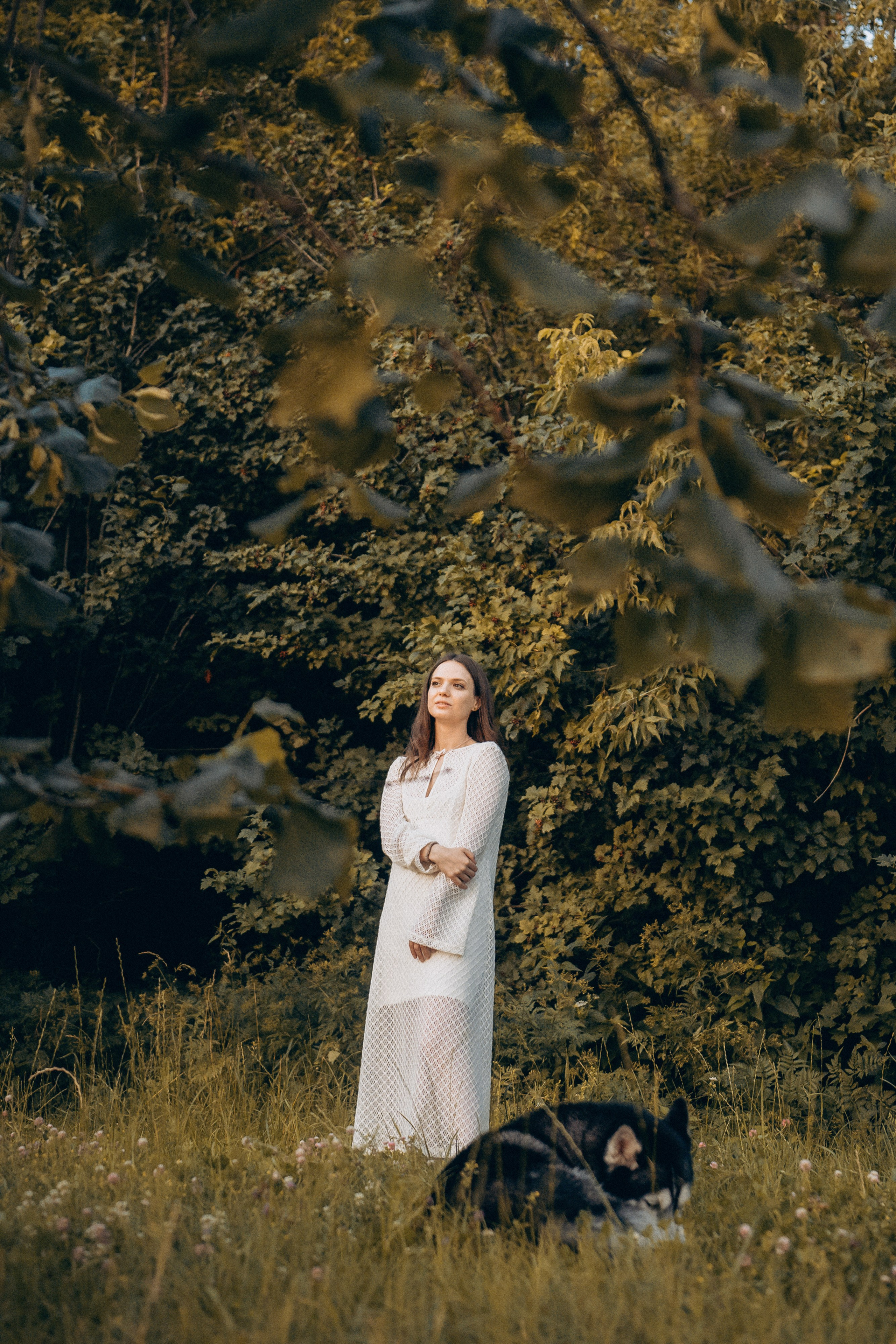 Мария и Вегас. Фотограф анималист в Москве и Санкт-Петербурге Свиридова Анна