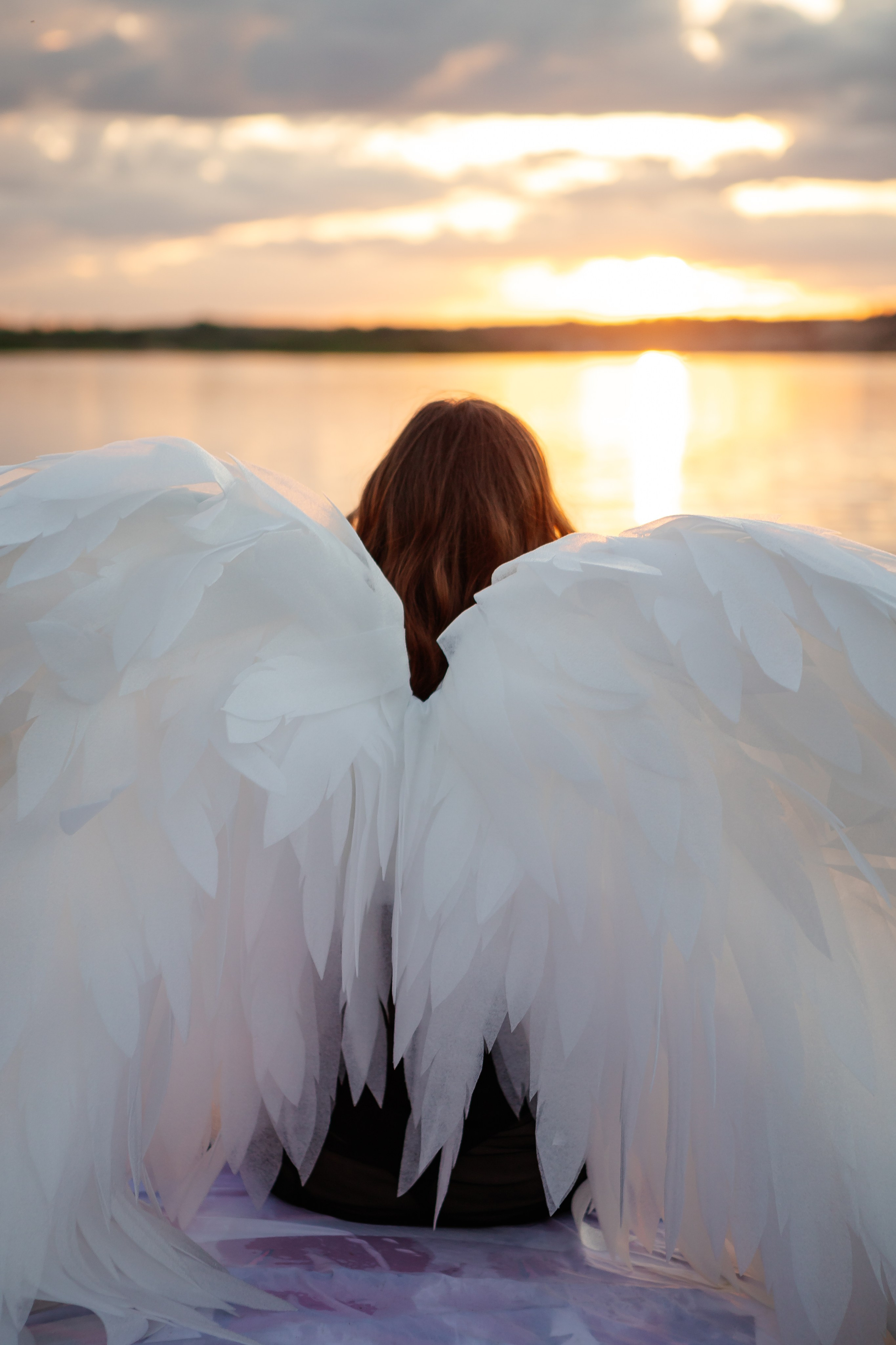 Лето.Крылья. Фотограф Калуга