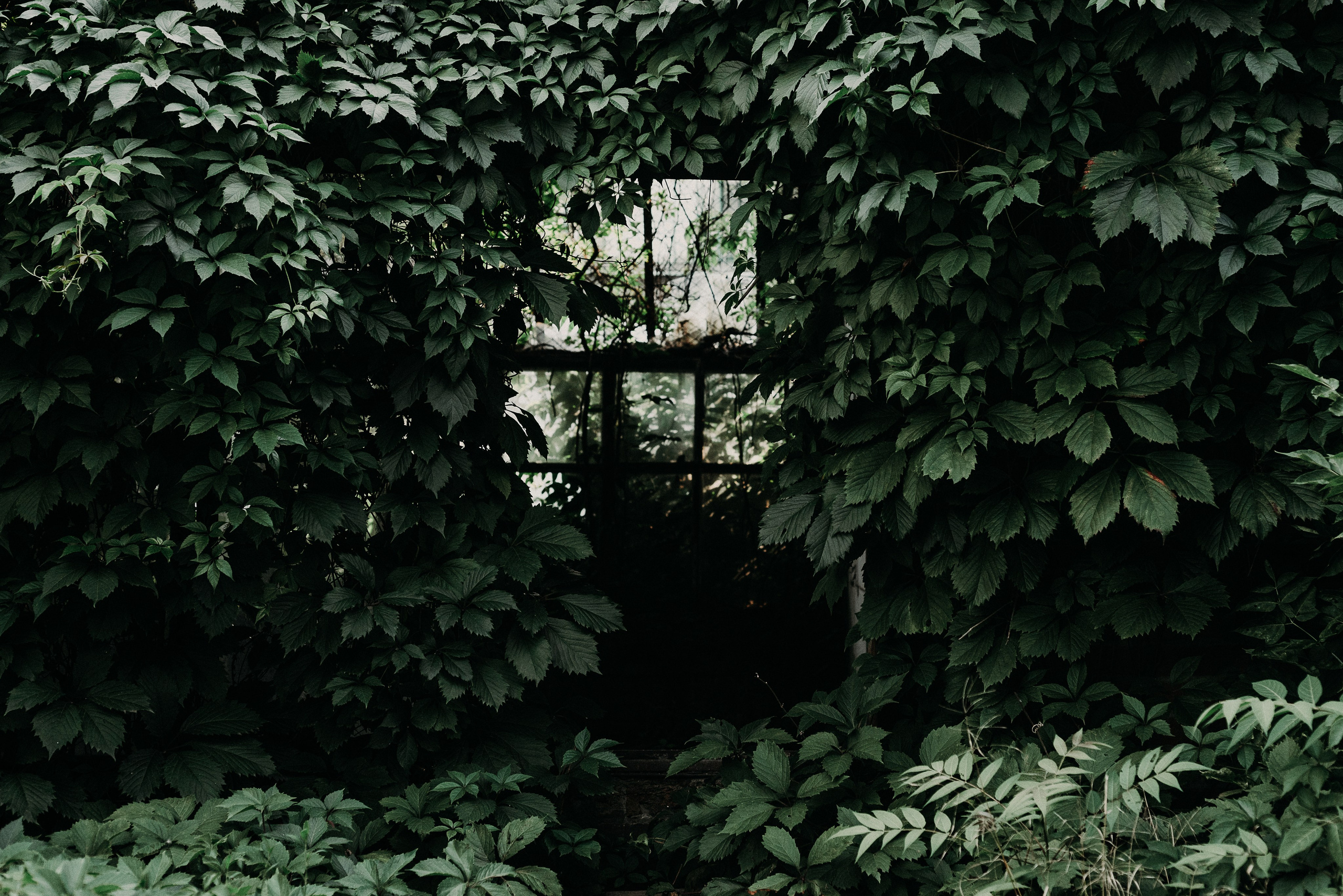 Ростов-на-Дону: через объектив фотографа из Гуанчжоу. Коммерческий и предметный фотограф в Гуанчжоу Коваленко Александр