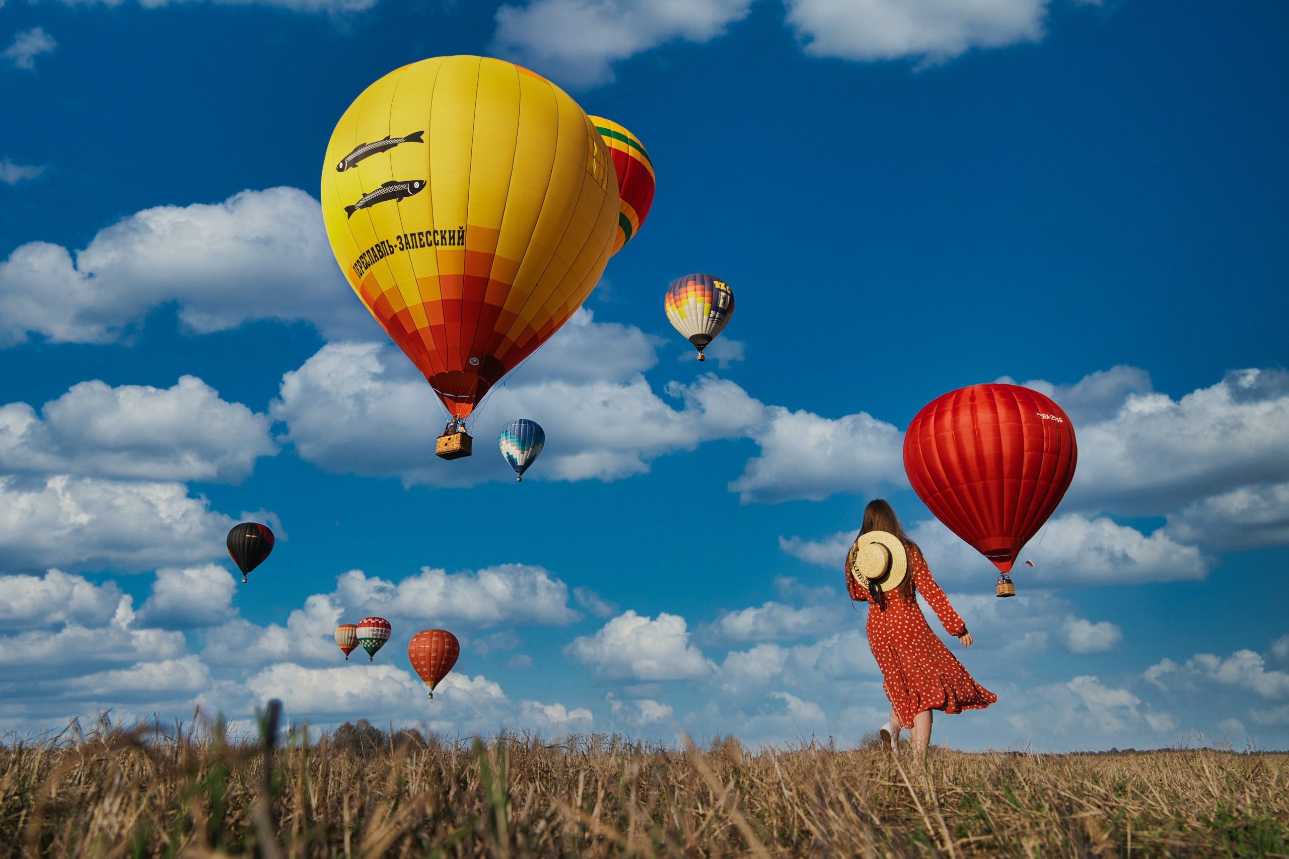 Сертификат участника. Photomantis